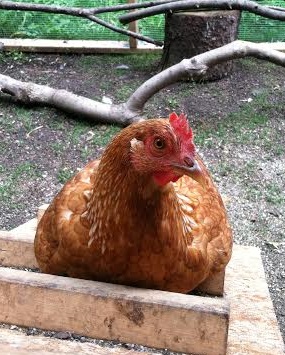 Very photogenic today