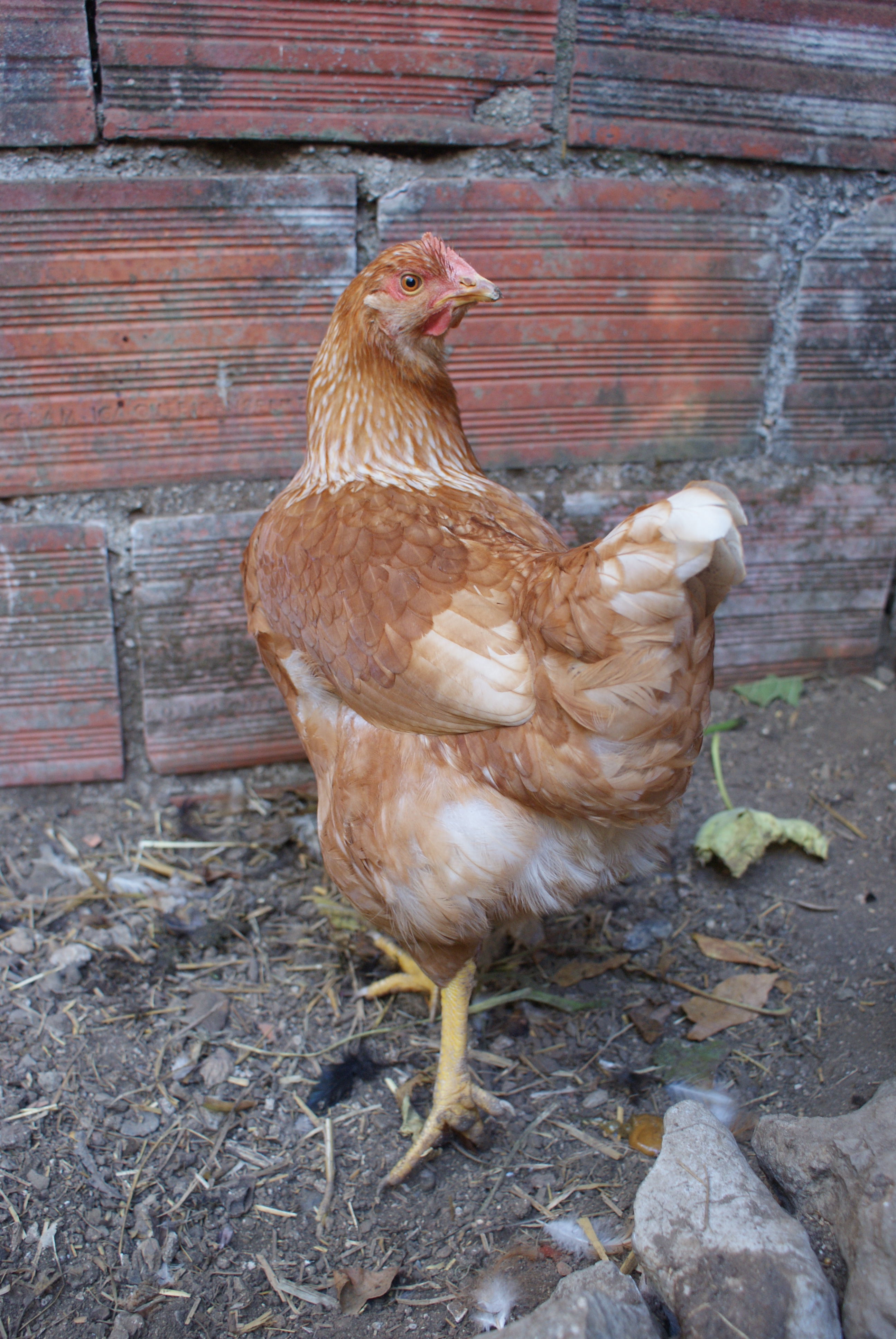 Vicky: still looking the youngest of the bunch.