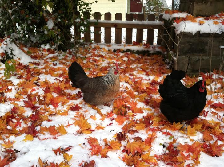 Victoria and Morgaine