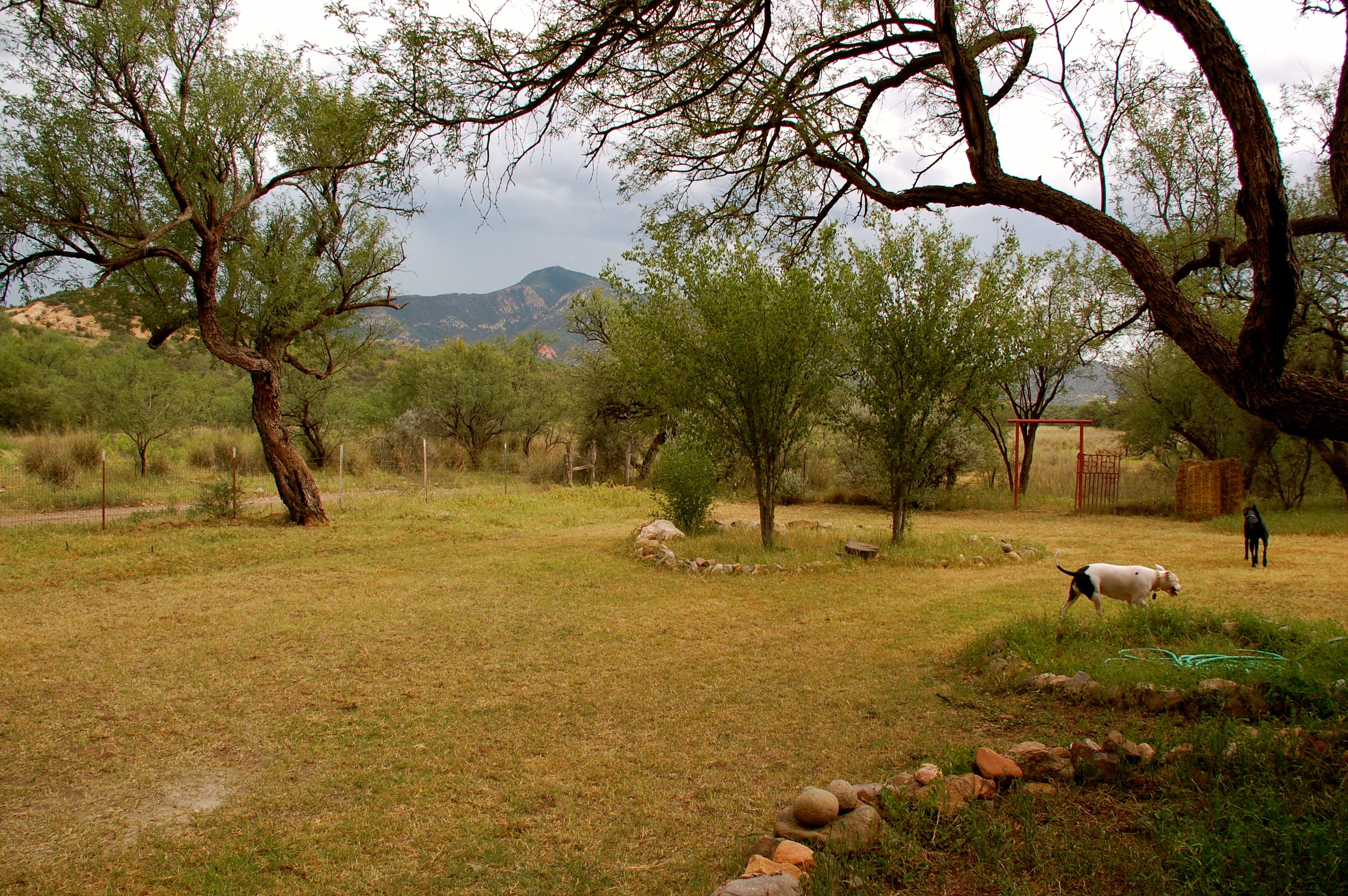 View from front porch