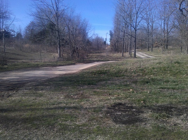view from house to drive