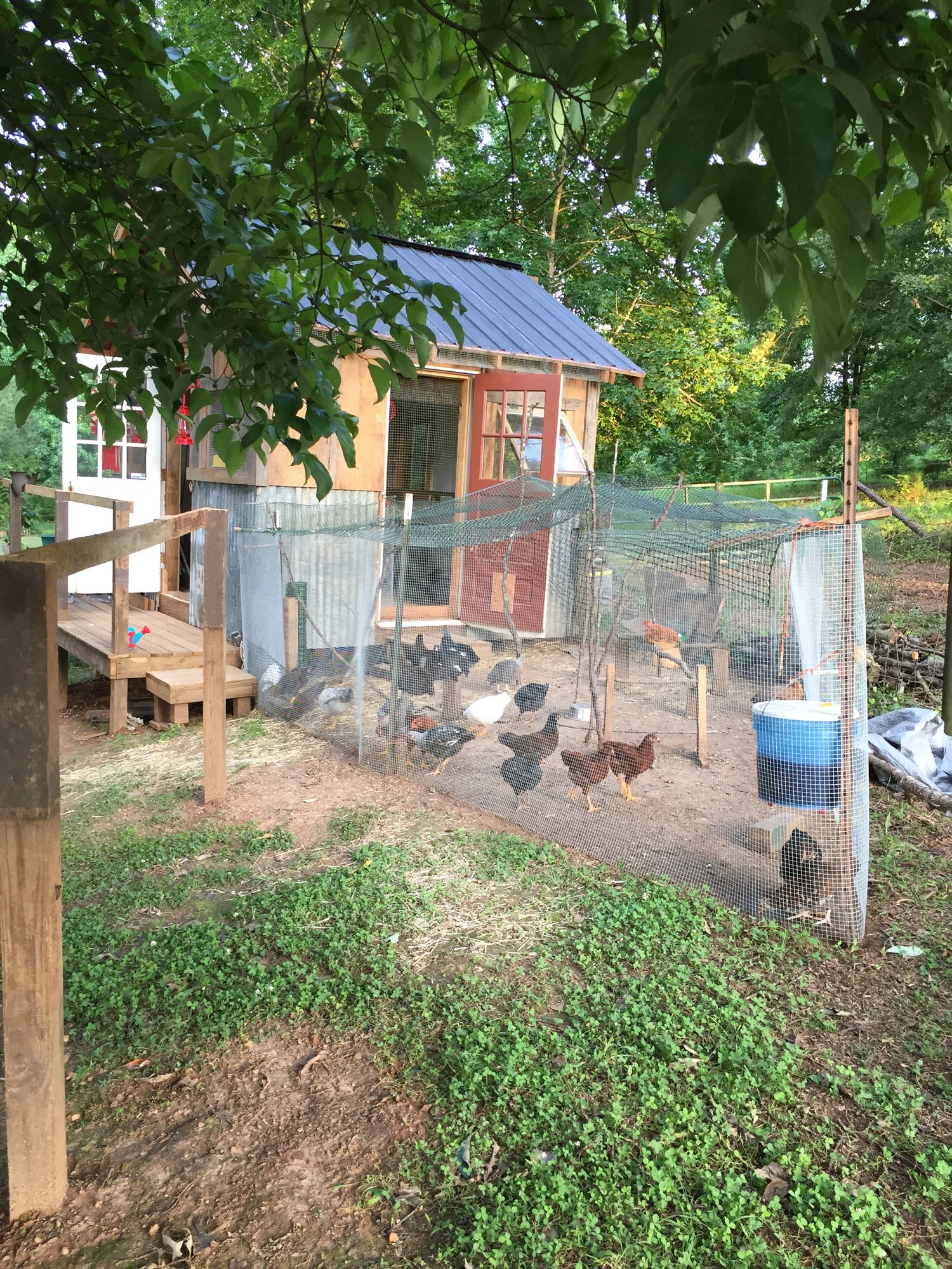 View from inside the run