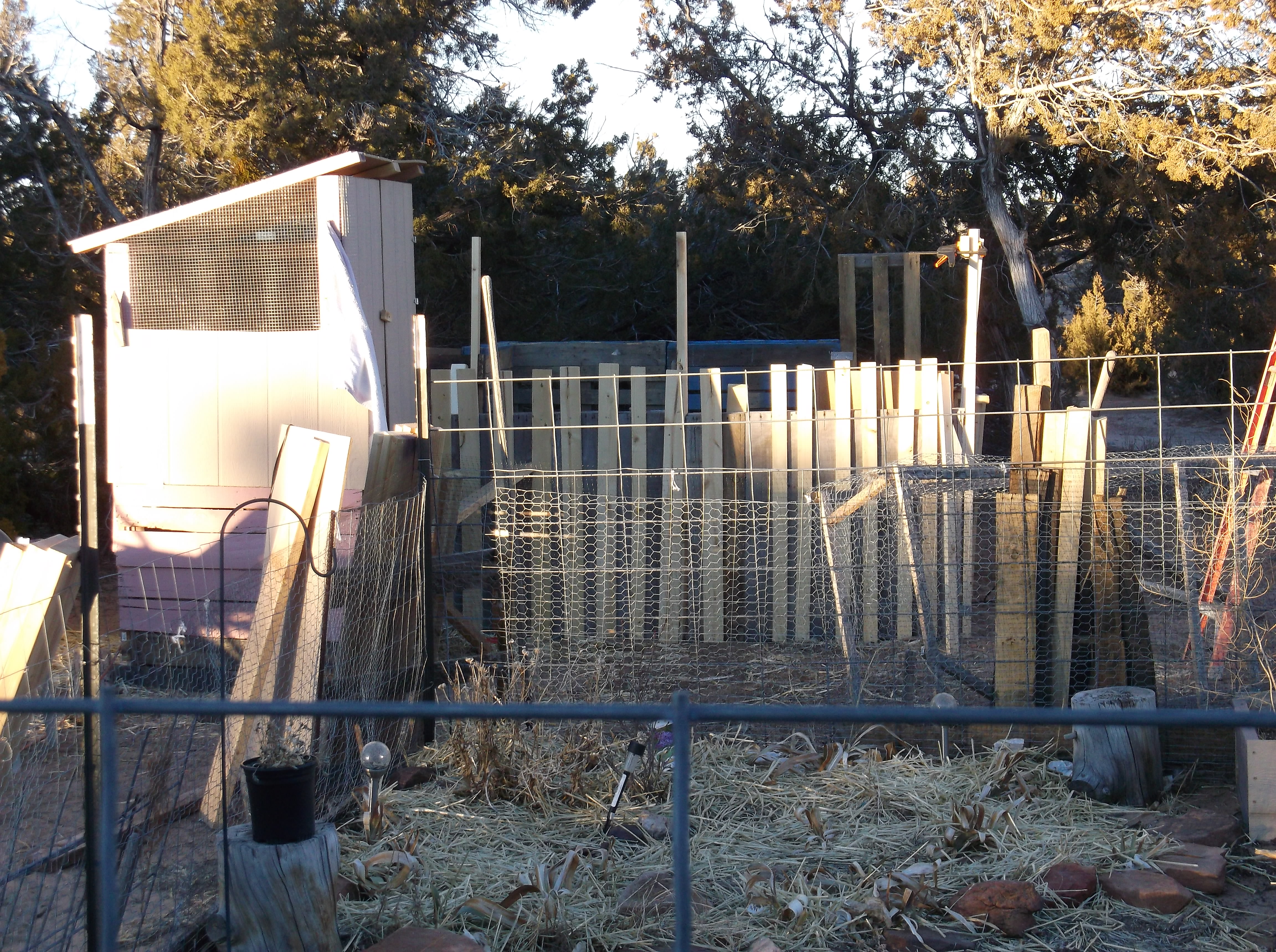view from the current run, across the garden. 1/15/14