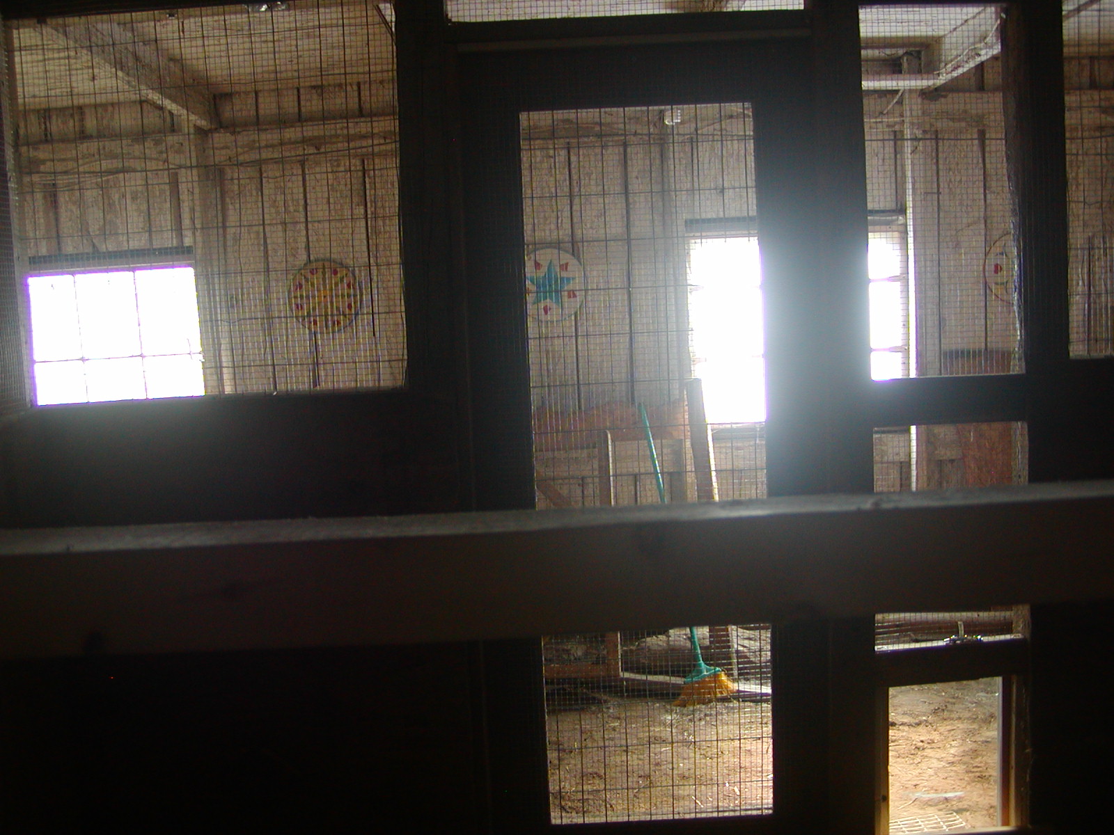 View from the roosts