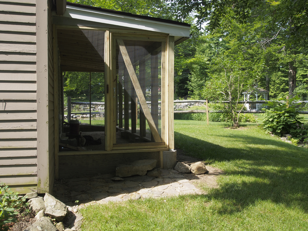 View looking through the run. Door is for outside access to the run for me and outside access to the yard for the chickens. There is a second person door from the run into the shed. We have an ADOR automatic chicken door from the run to the coop.