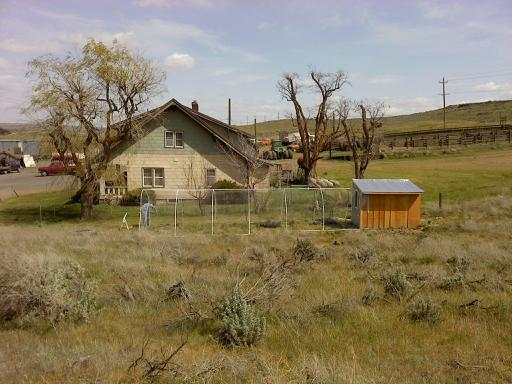 view of chicken coop and new yard...