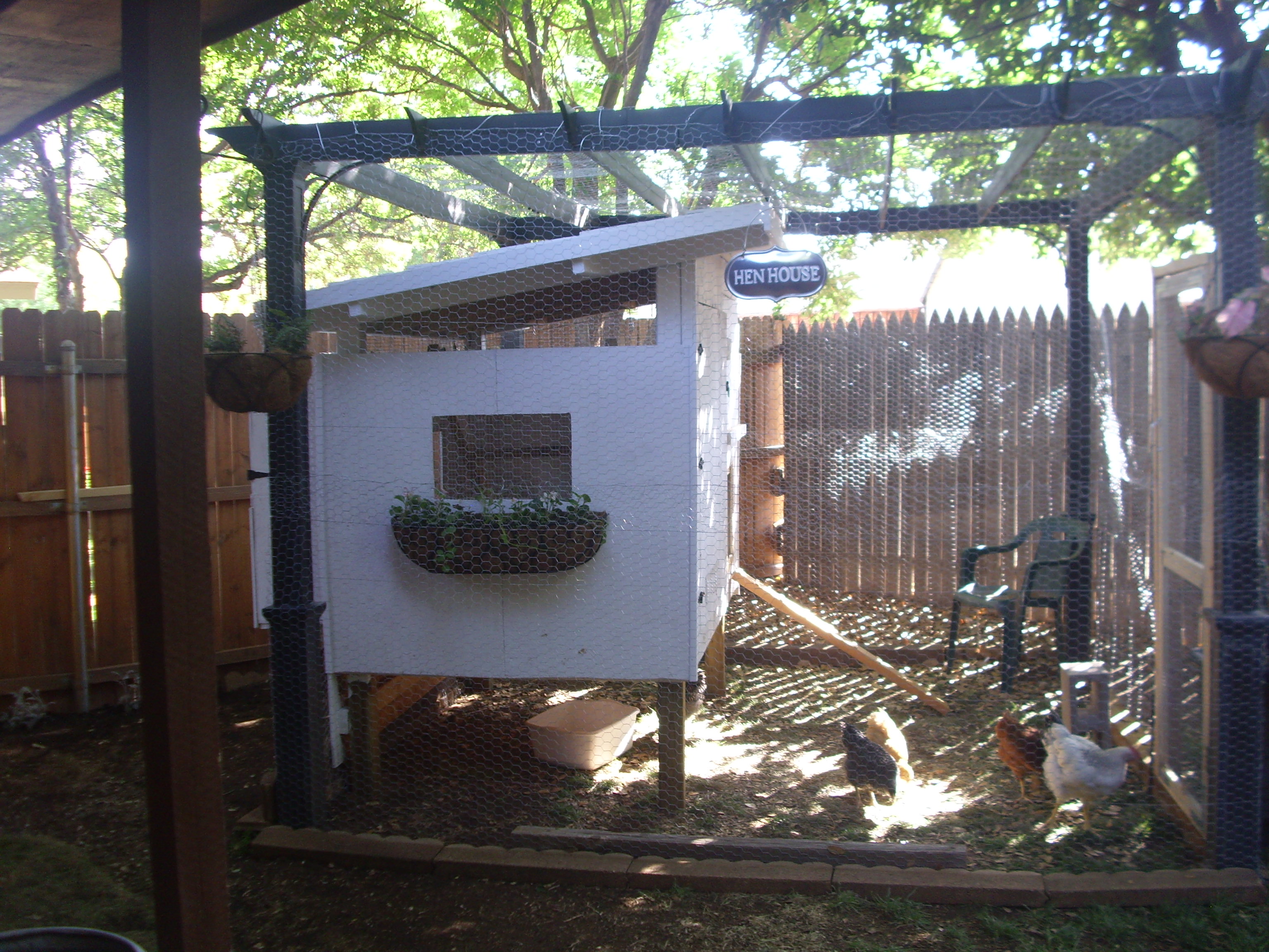 View of coop from the house.
