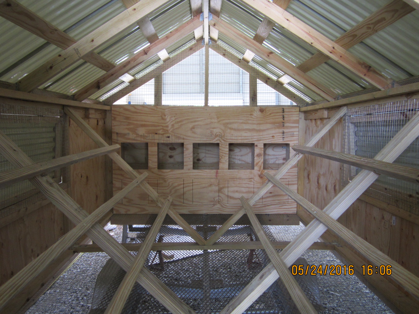 View of inside with nest box openings, only top half cut out.  Also showing roost bars.
