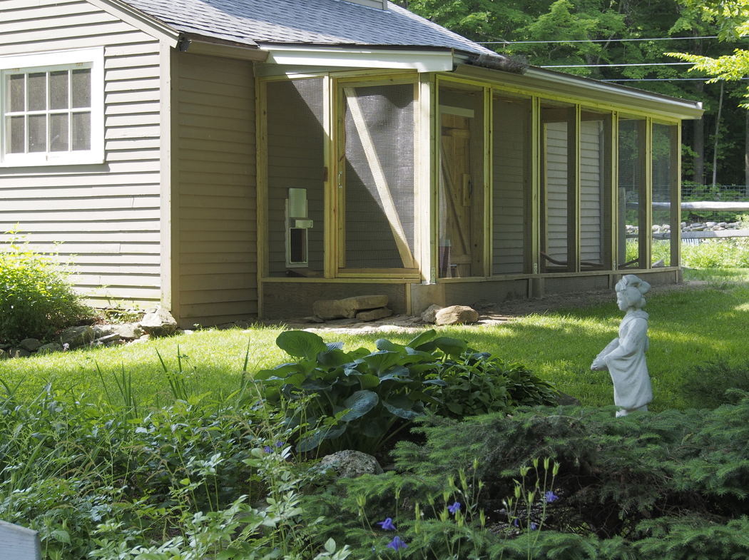 View of people/chicken door with outdoor access. Also visible inside is the automatic pop door to the coop.