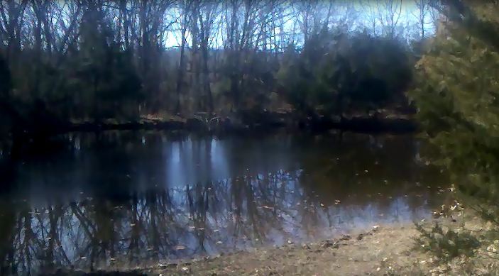 view of pond