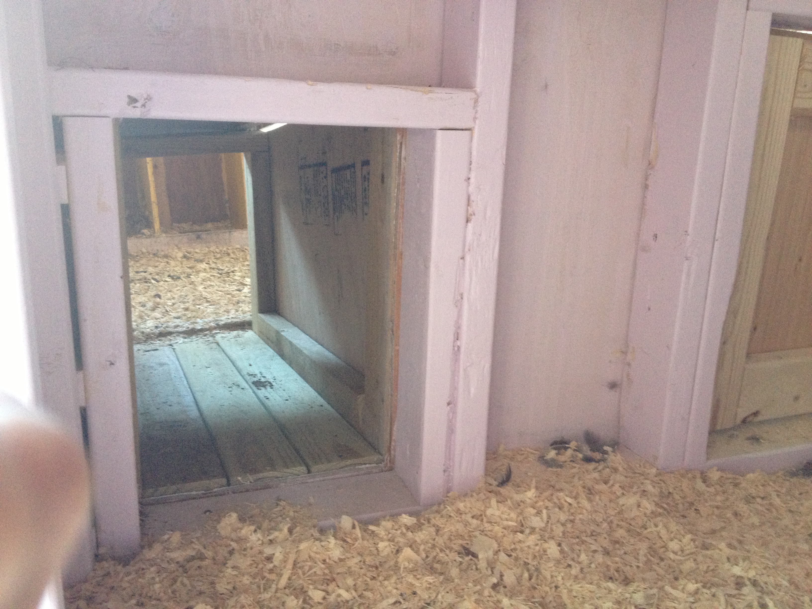 view of the tunnel from the new coop to the old.