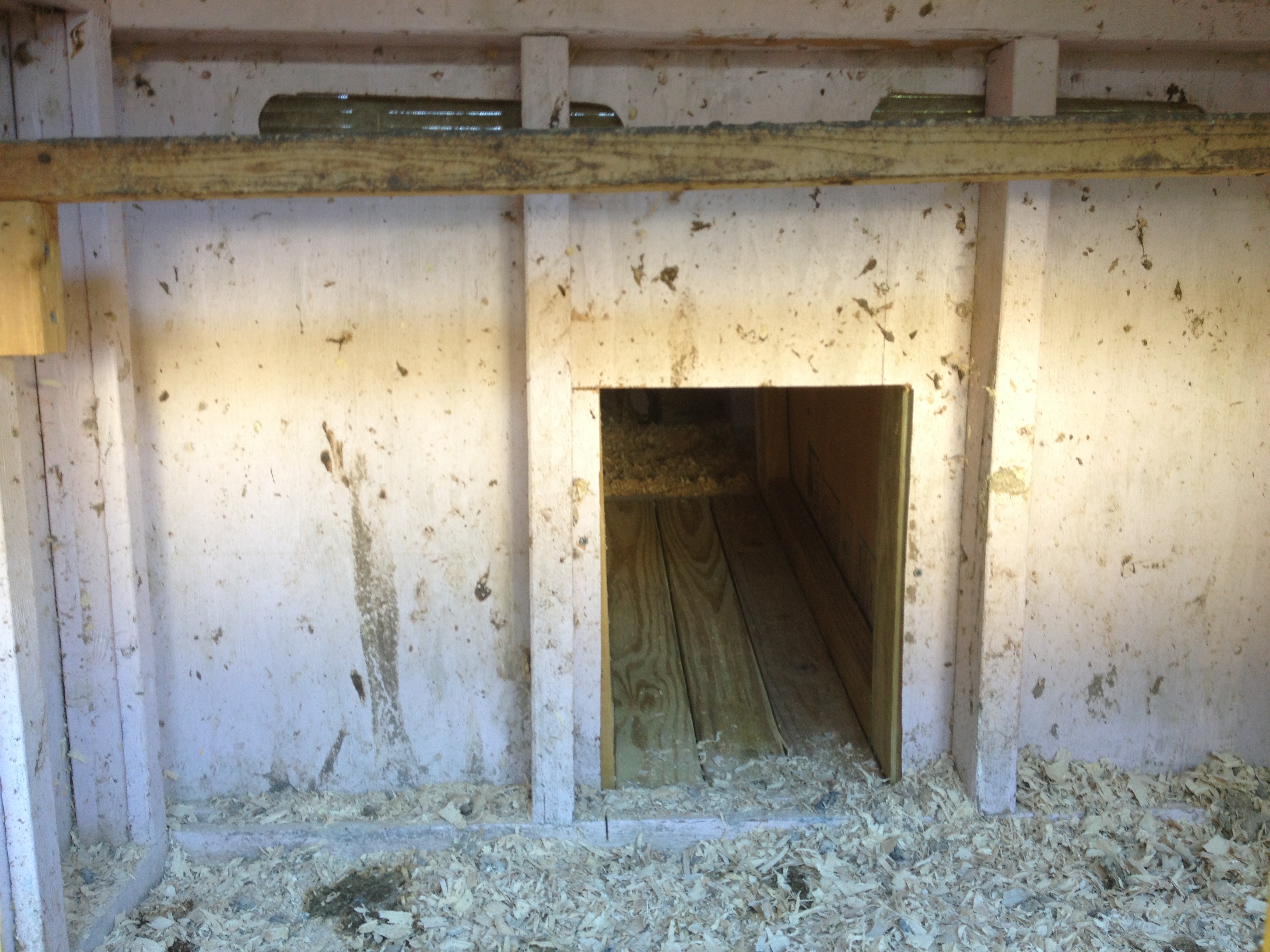 view of the tunnel from the old coop