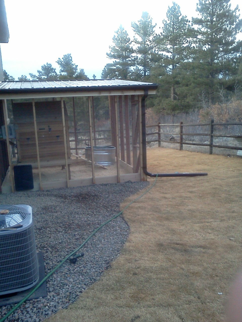 View upon entering the Chicken Yard!  Just laid sod for my girls to munch this summer.  Notice the drain for the roof.