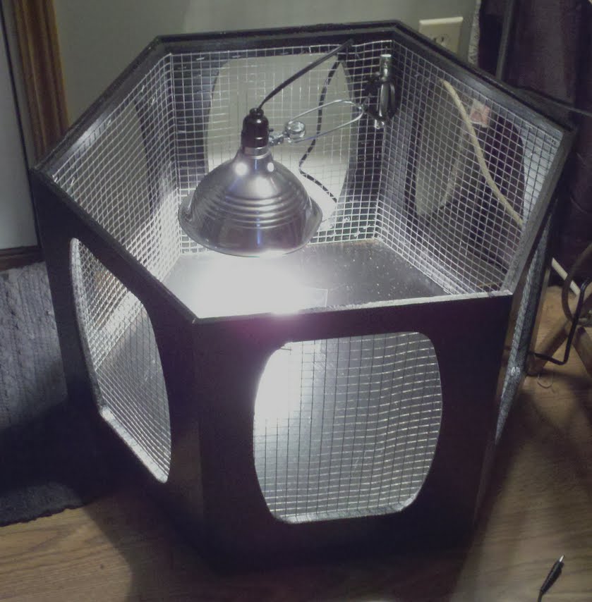 Vintage coffee table brooder.