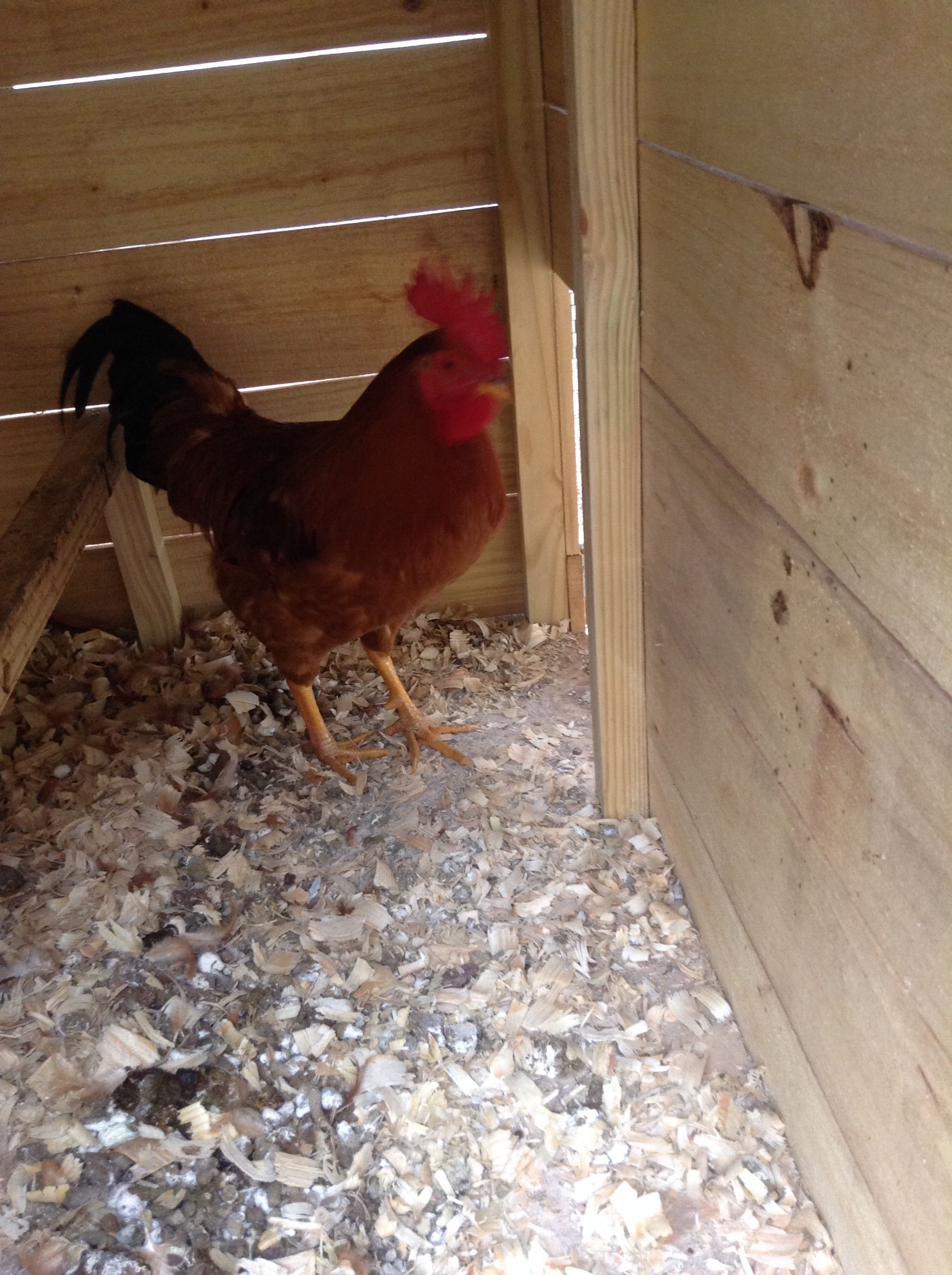 Wait, never mind, it's just you.:)