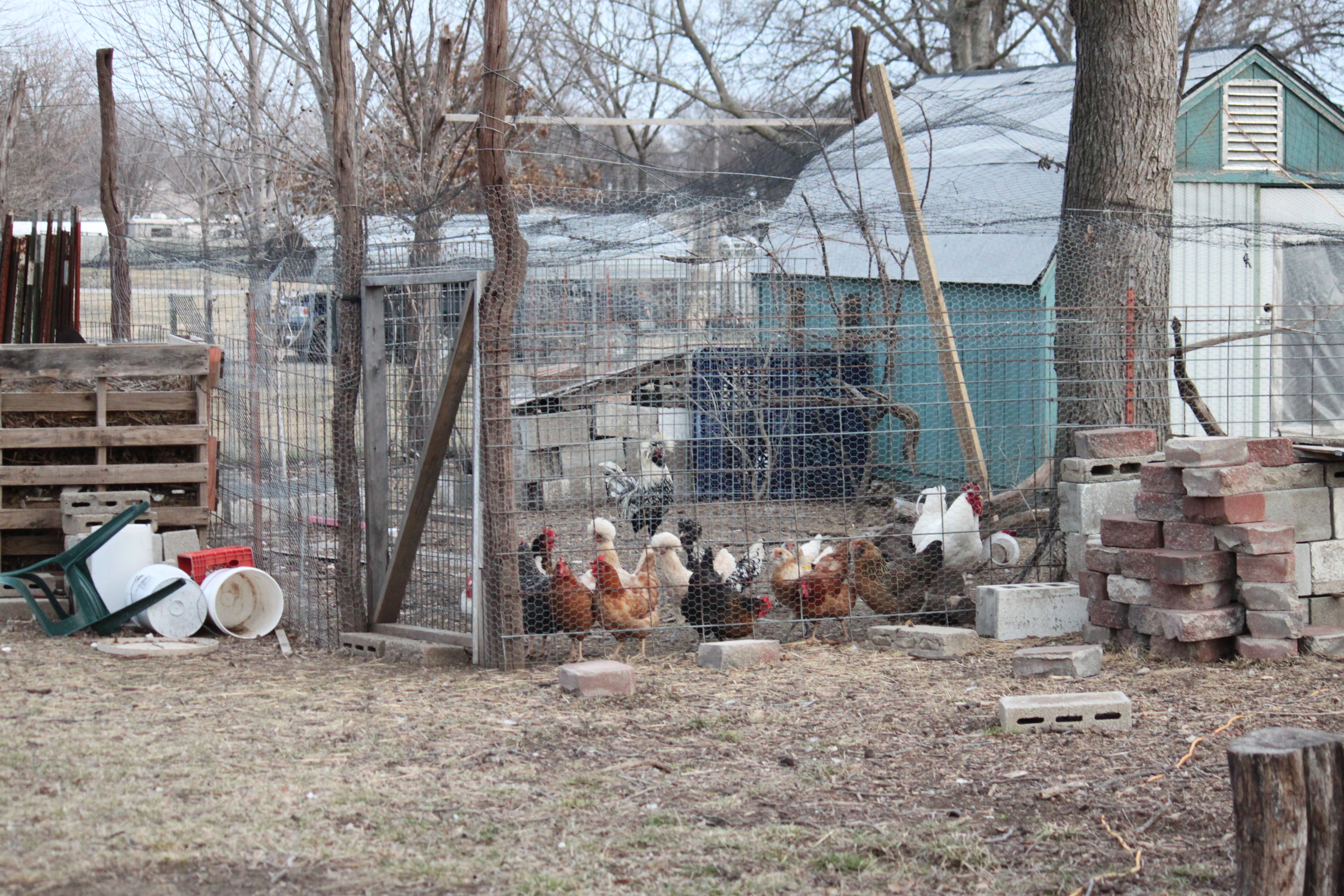 Waiting to be released