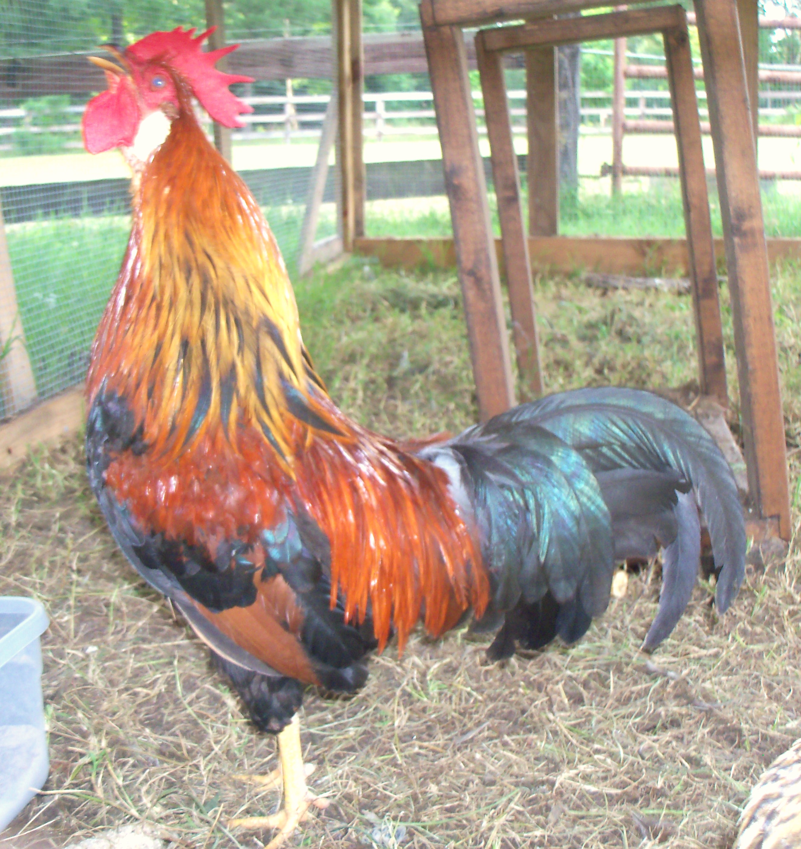 Waking up the neighbors