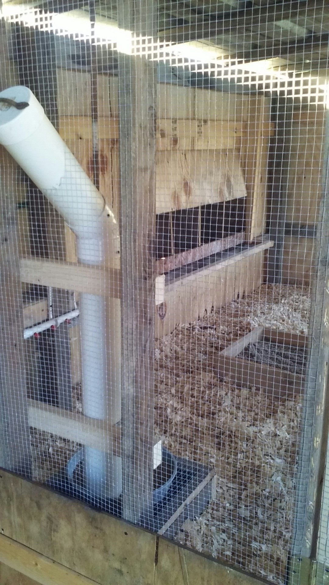 Wall and PVC feeder built. Feed was gravity fed into a pan. Built an empty box covered with hardware cloth to catch wasted feed. Sort or work but in the end I ditched it. Inside of coop I built a removable wooden box for dust bathing. Contained wood ash from my fireplace, sand and DE.