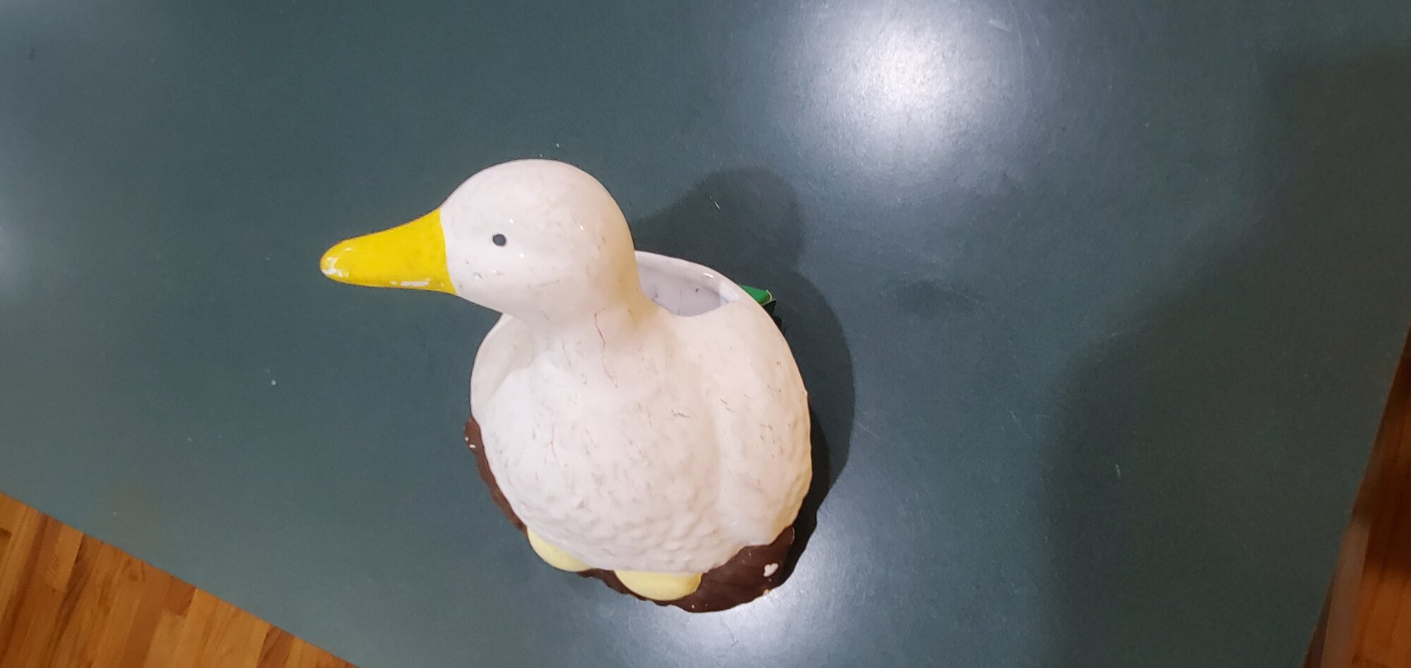 Wall Duck