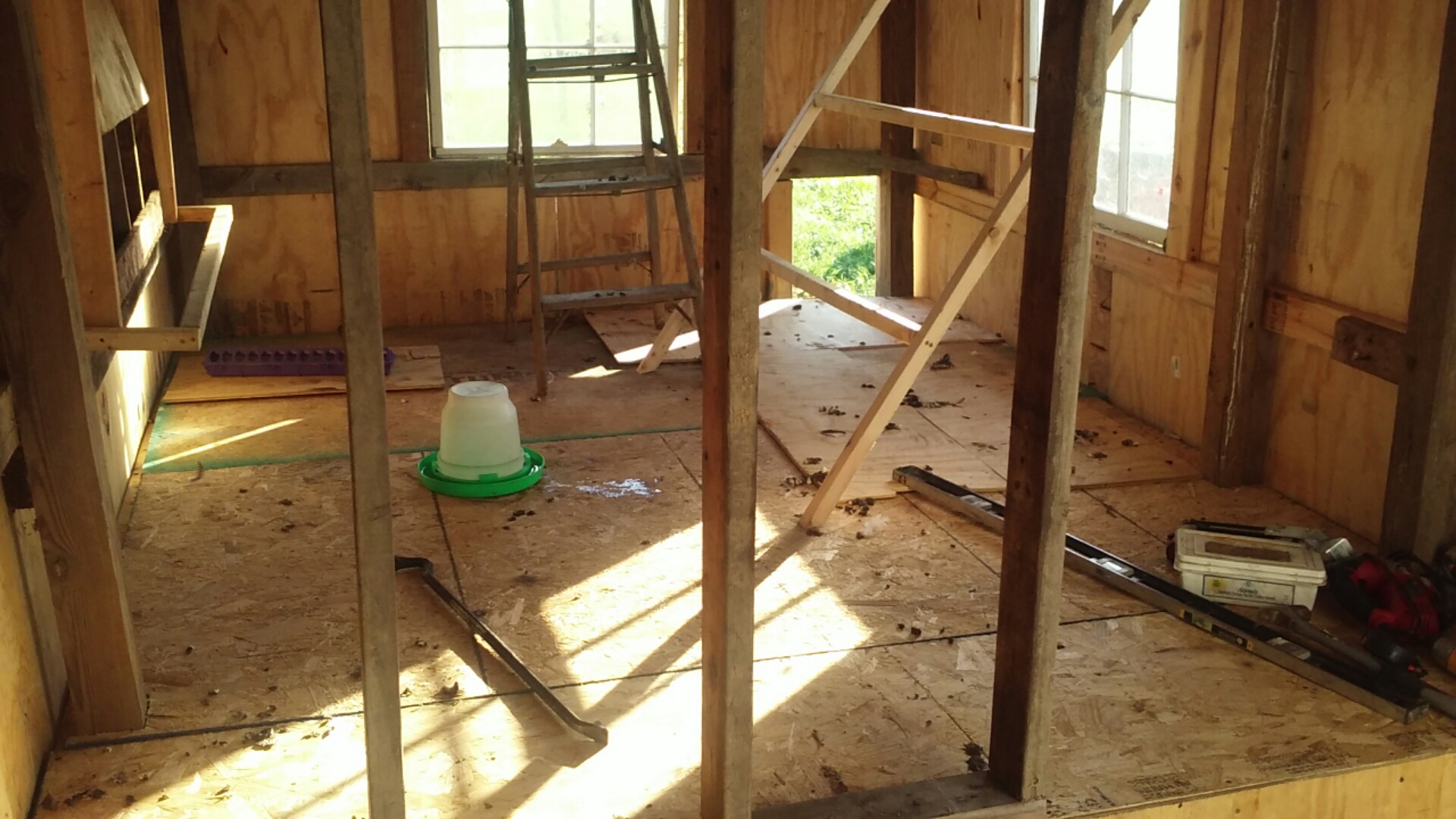 Wall going up, 8' long roost being built. Afterwards 1x4x8 were screwed on top of the 1x1 roost to widen them up. Roost is connected with hinges so that it can be raised and secured to the roof for cleaning time.