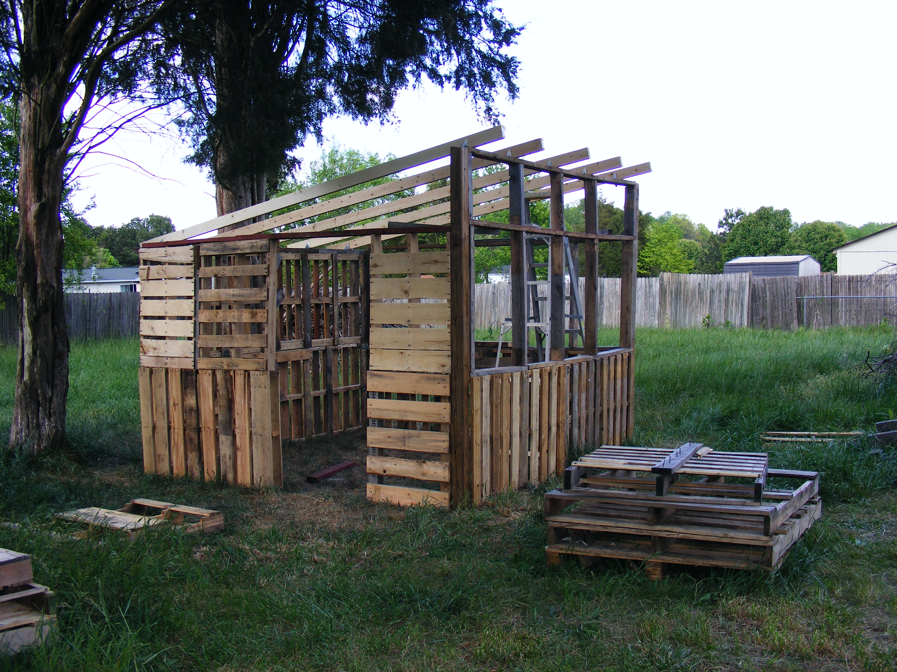 wall