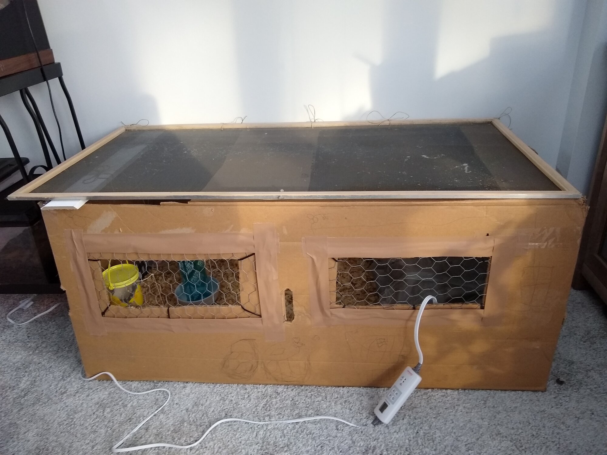 wardrobe box brooder