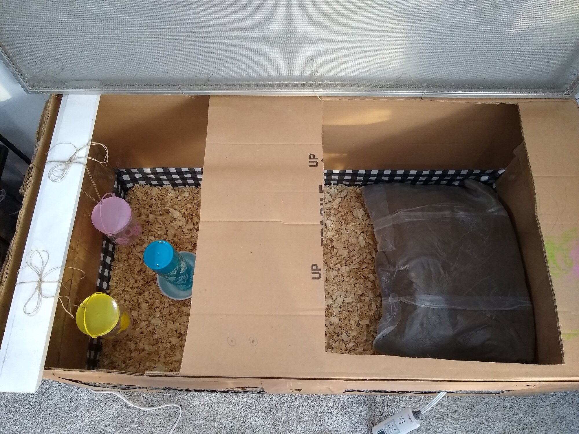 wardrobe box brooder