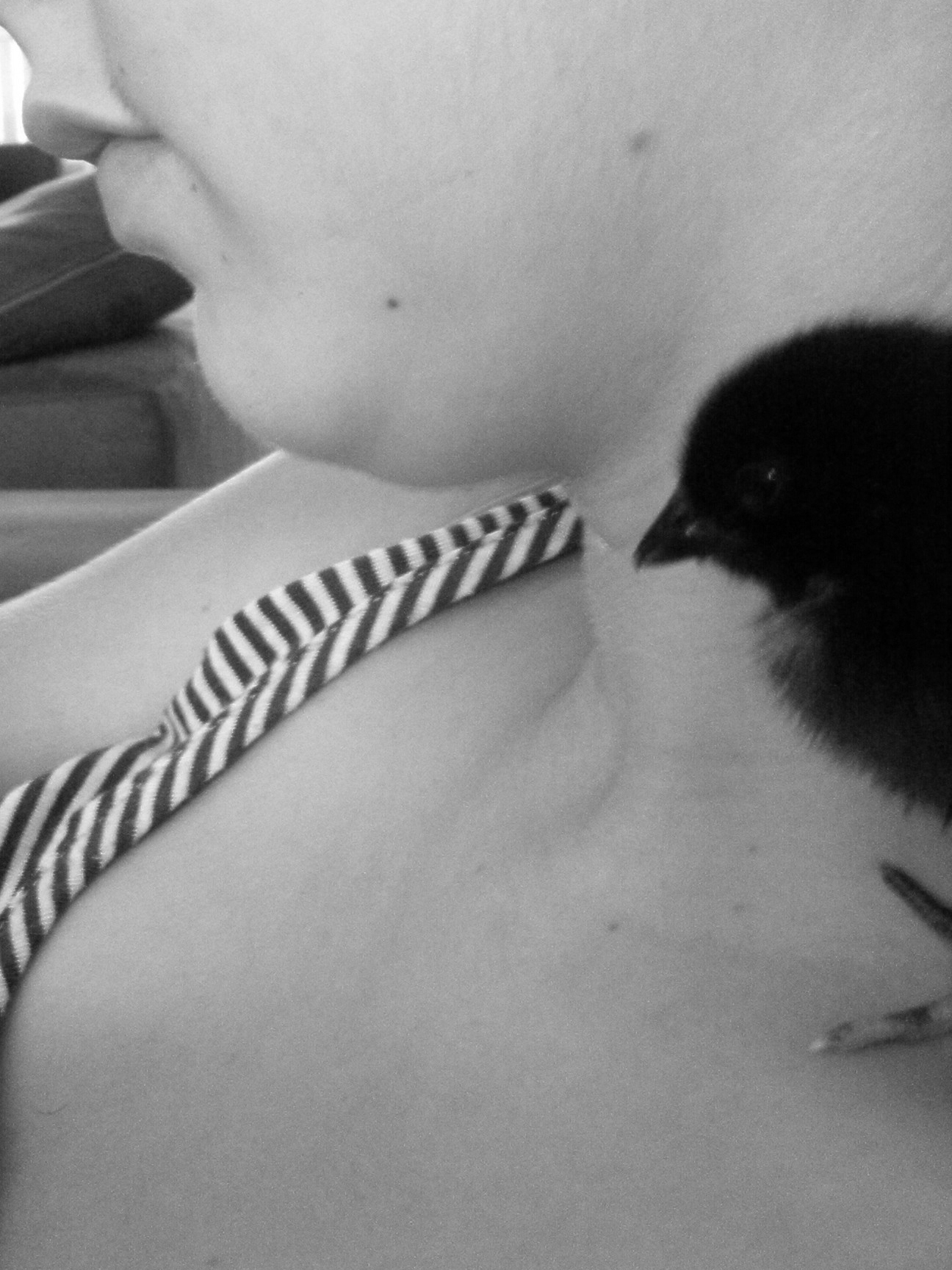 watching tv together..