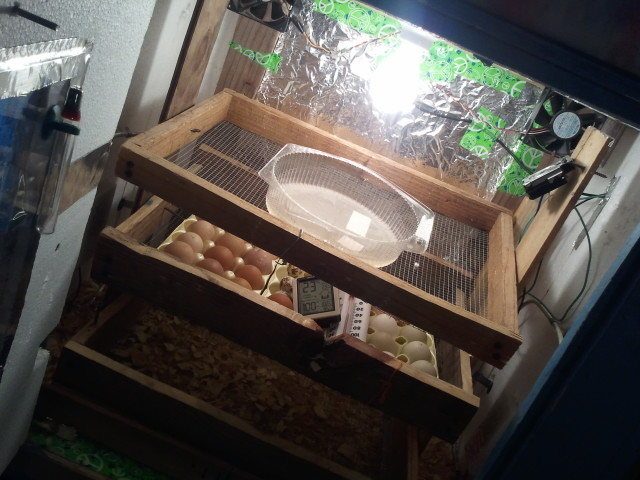 Water heater Thermostat is at th top right. Eggs are in the middle, with two thermometers.