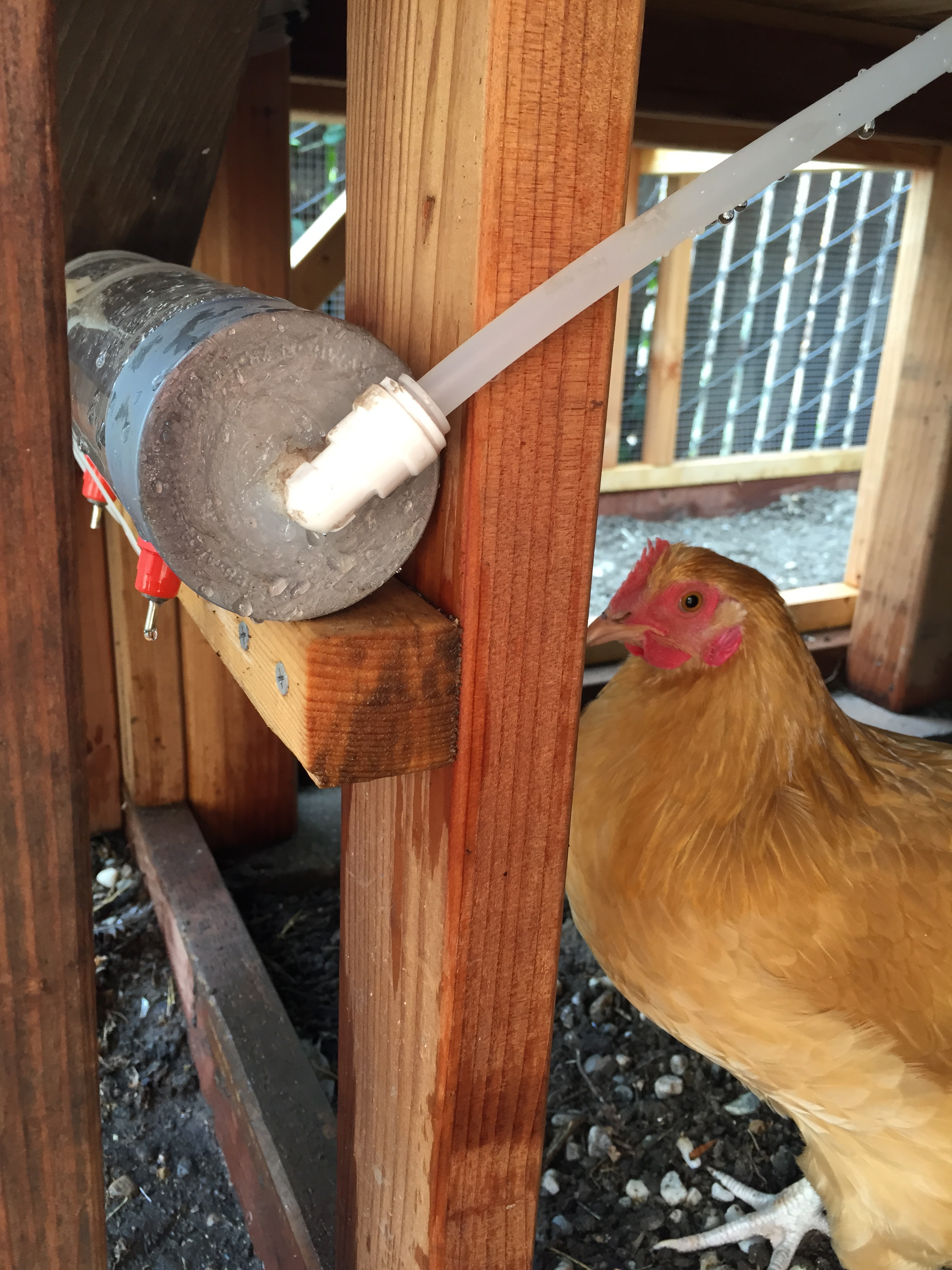 Water pipe connection