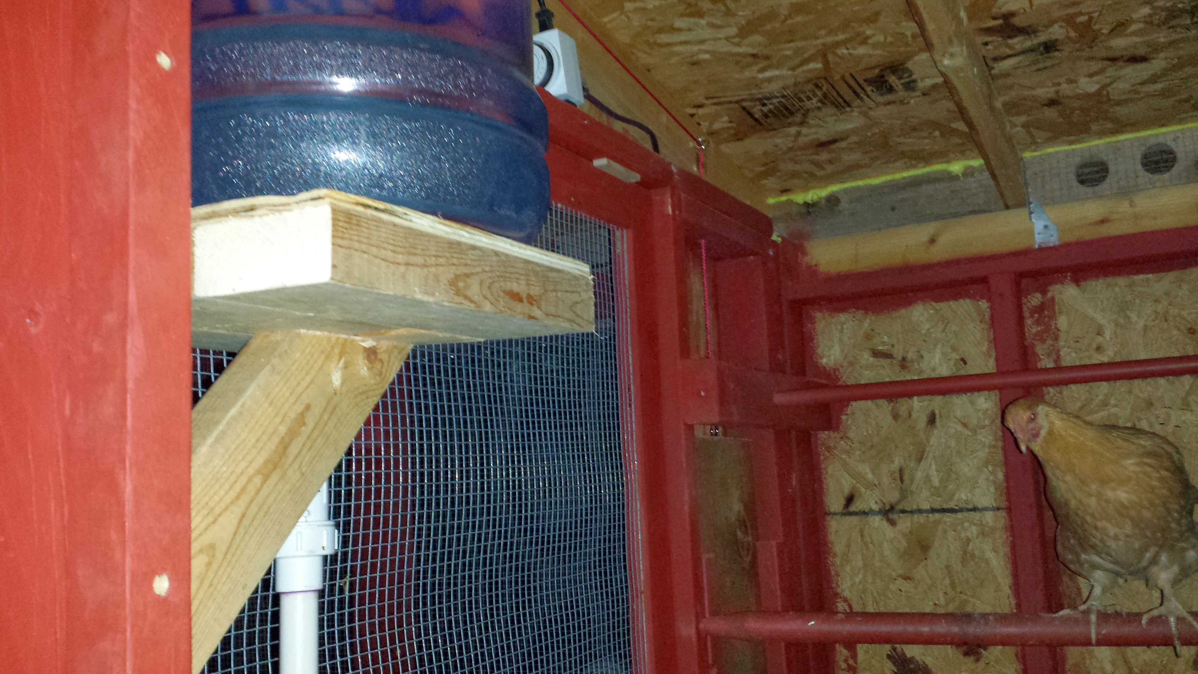 Water set-up inside the coop.
