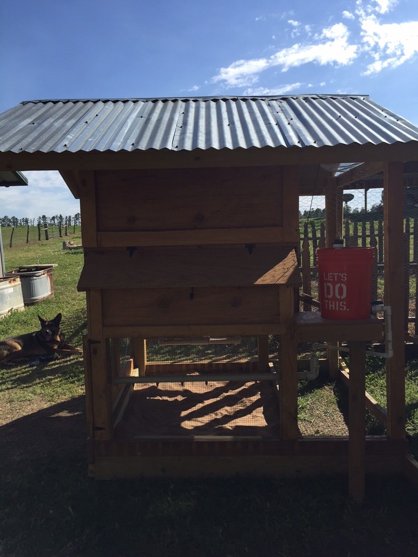 Water system and nest box (I plan on modifying the system to be able to receive rain runoff.)