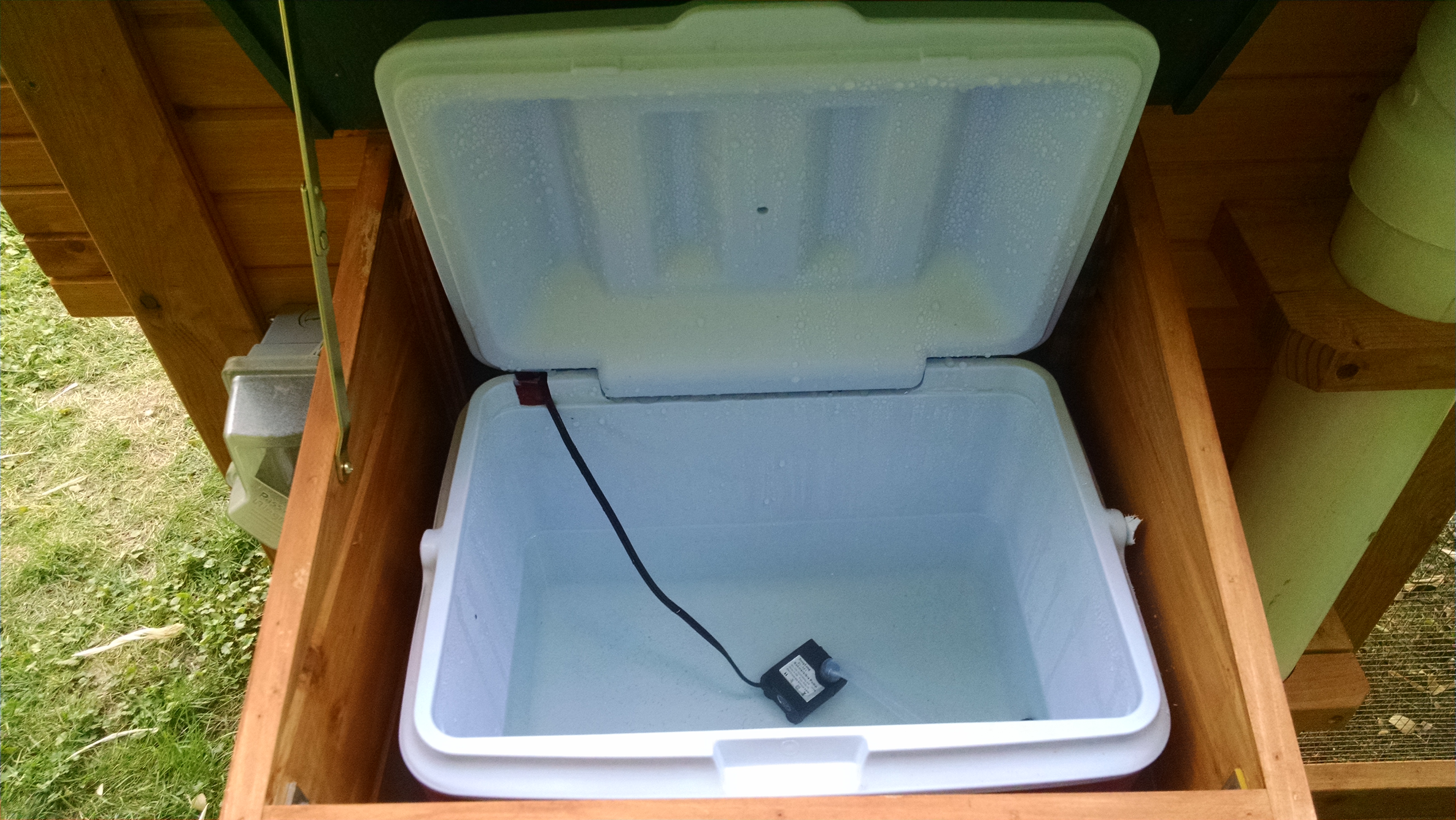 waterer reservoir made from 6 gallon cooler with aquarium pump to circulate water. we're going to add a bird bath heater in the winter