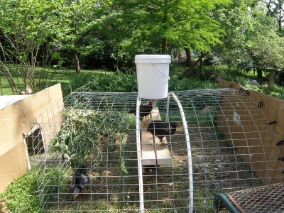 Watering module