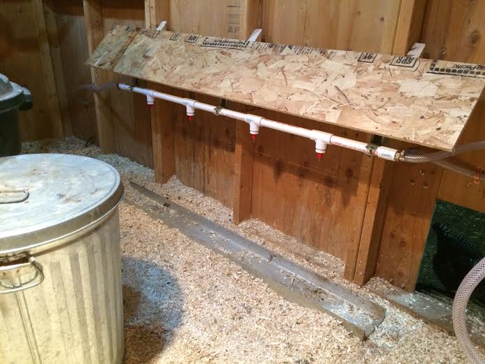 Watering Nipples in the Coop