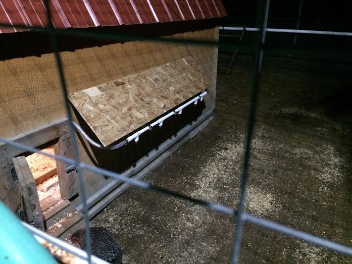 Watering Nipples Outside the Coop