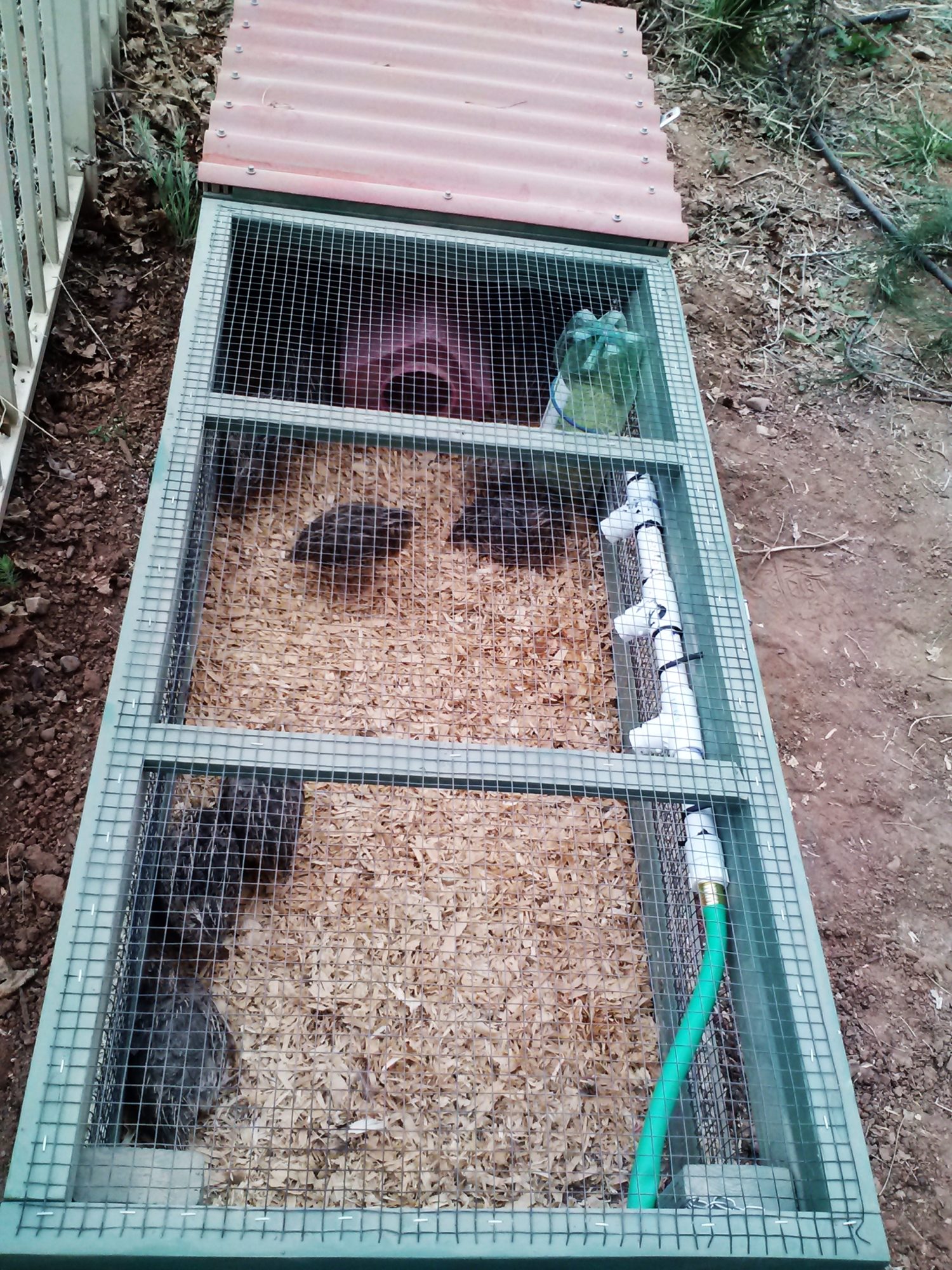 Watering system my husband made after I found this tutorial....http://sharidenise.hubpages.com/hub/Watering-Chickens