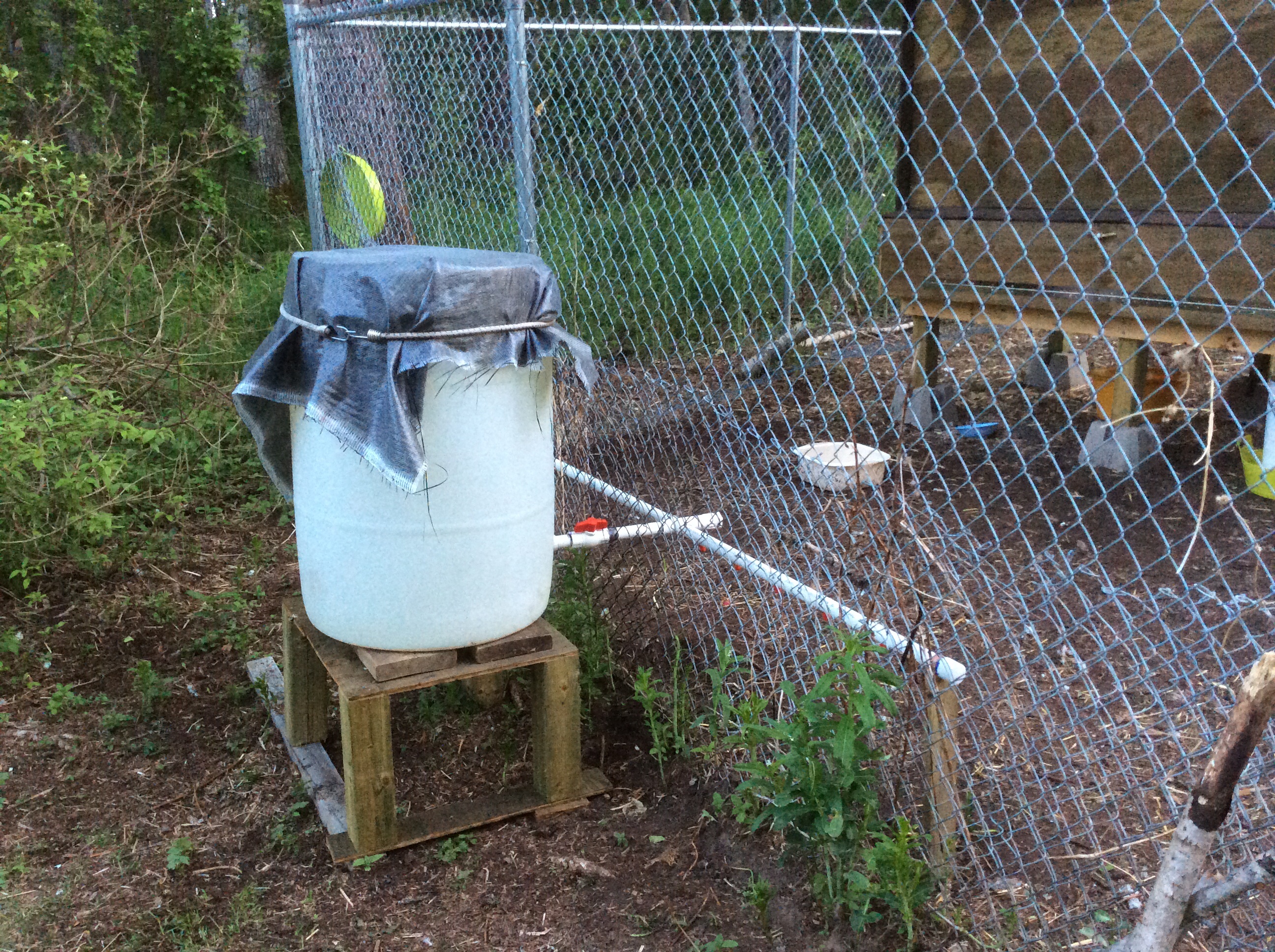 Watering system