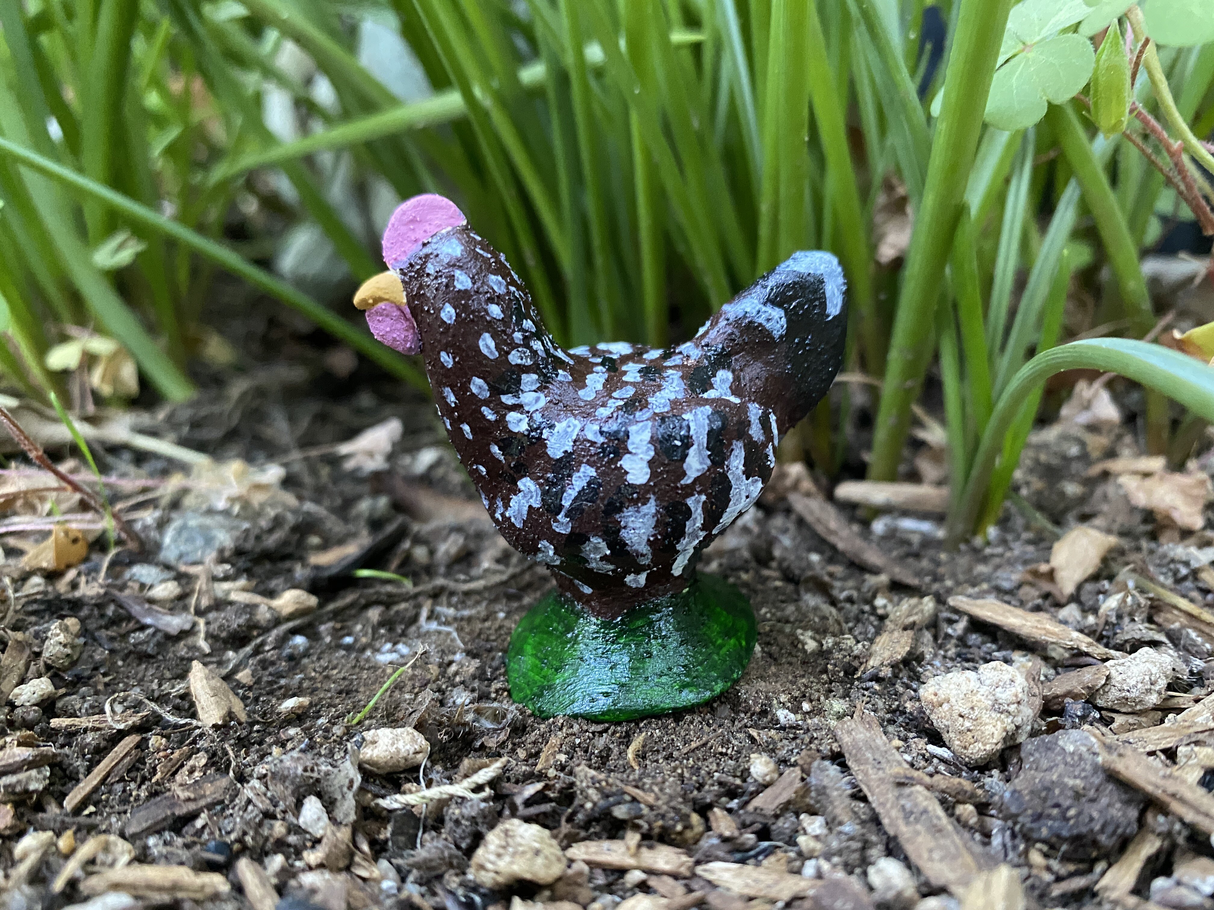 Watson, a speckled Sussex hen.