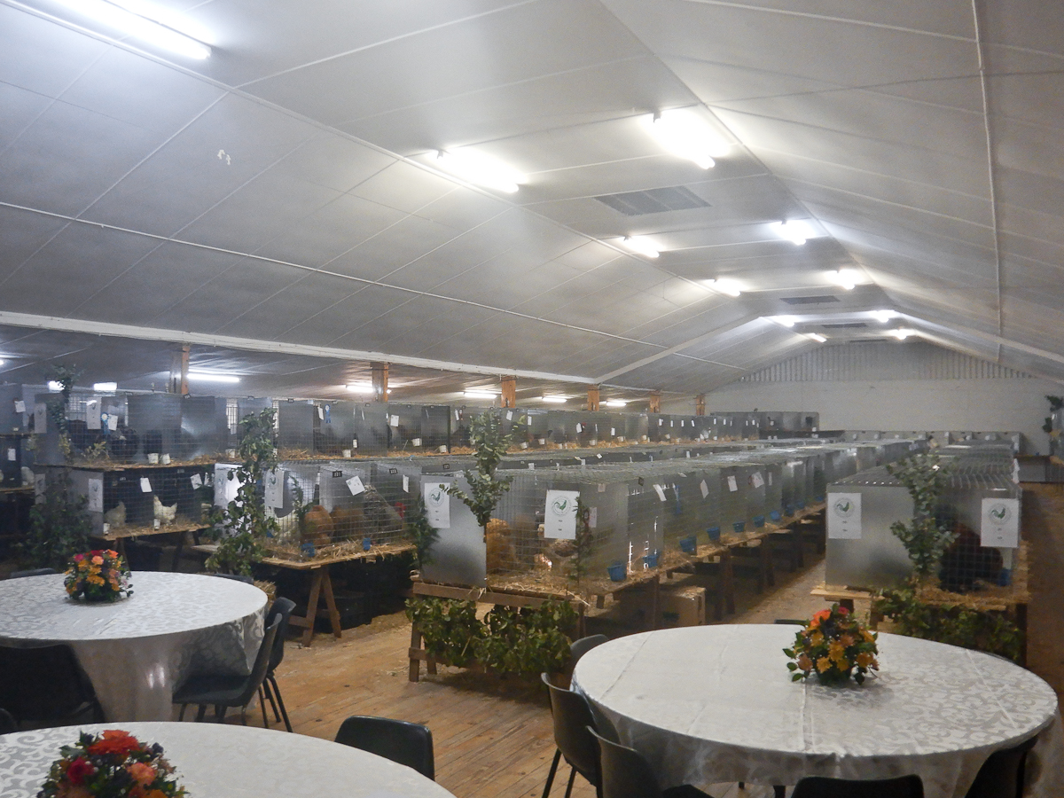 WCPC show 2025 - Part 1 Pic 6.jpg