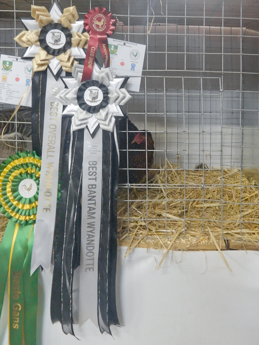 WCPC show 2025 - Part 2 Pic 6.jpg