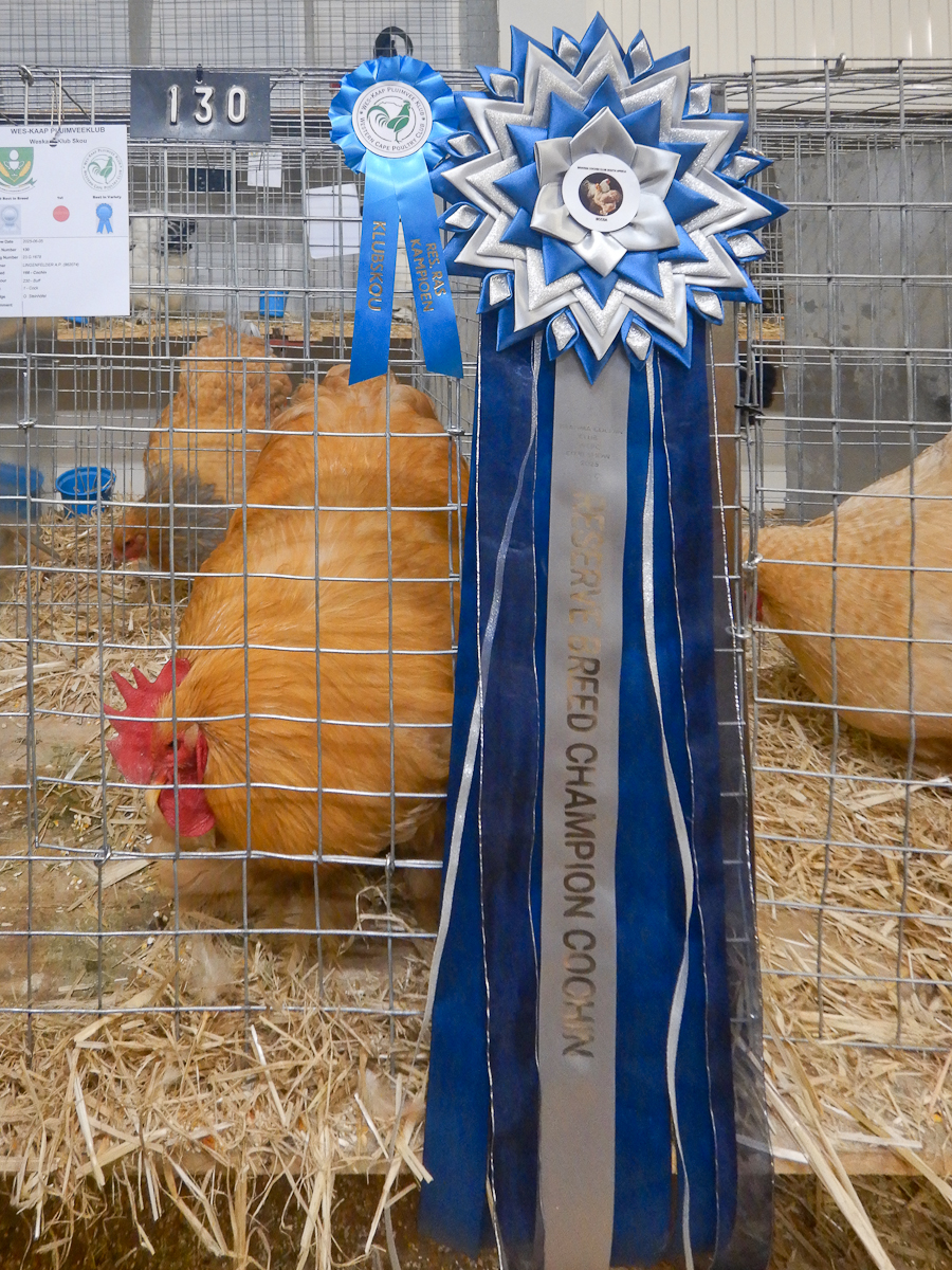 WCPC show 2025 - Part 6 Pic 1.jpg