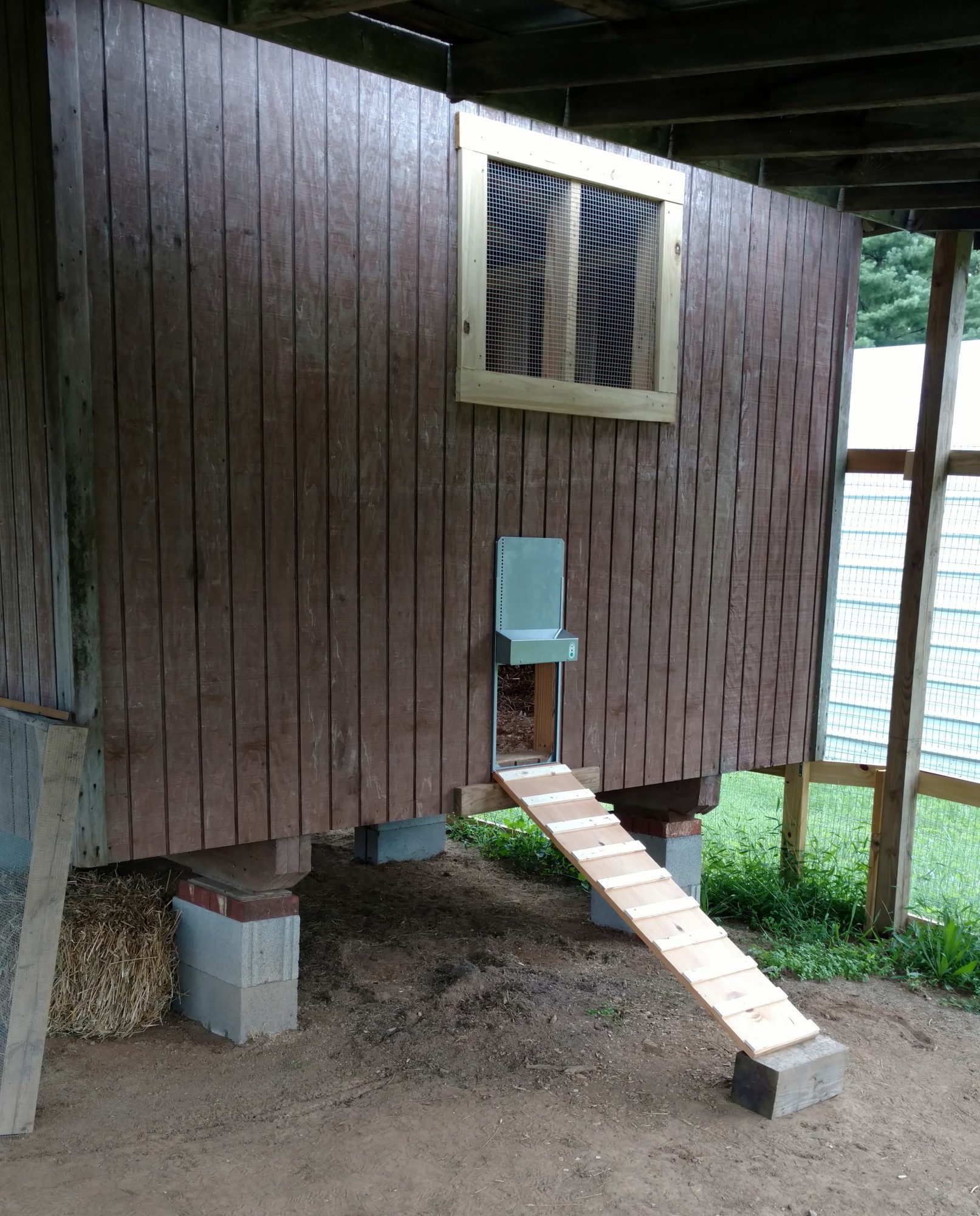 We added two windows and an automatic chicken door.