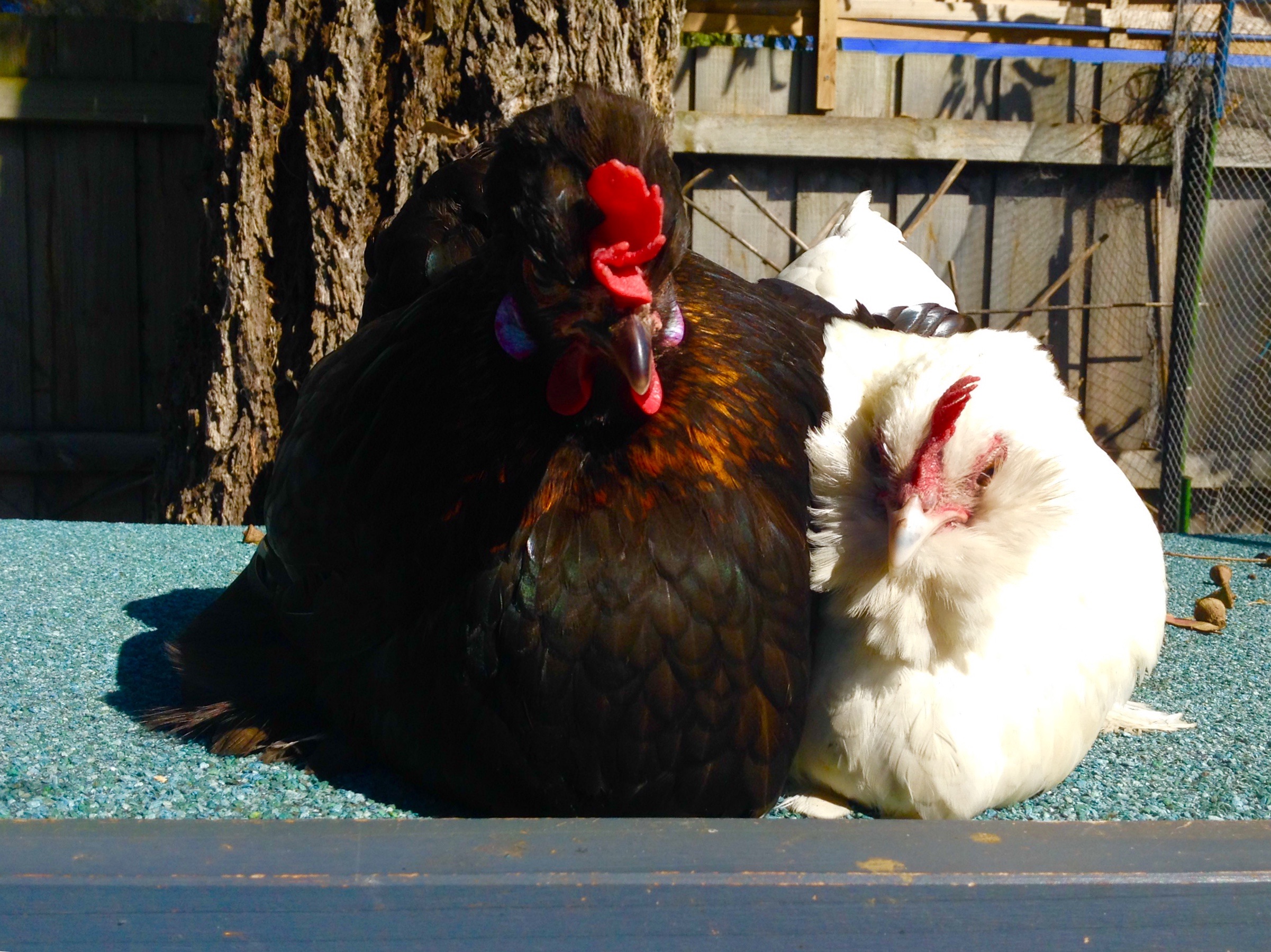 we are best friends!