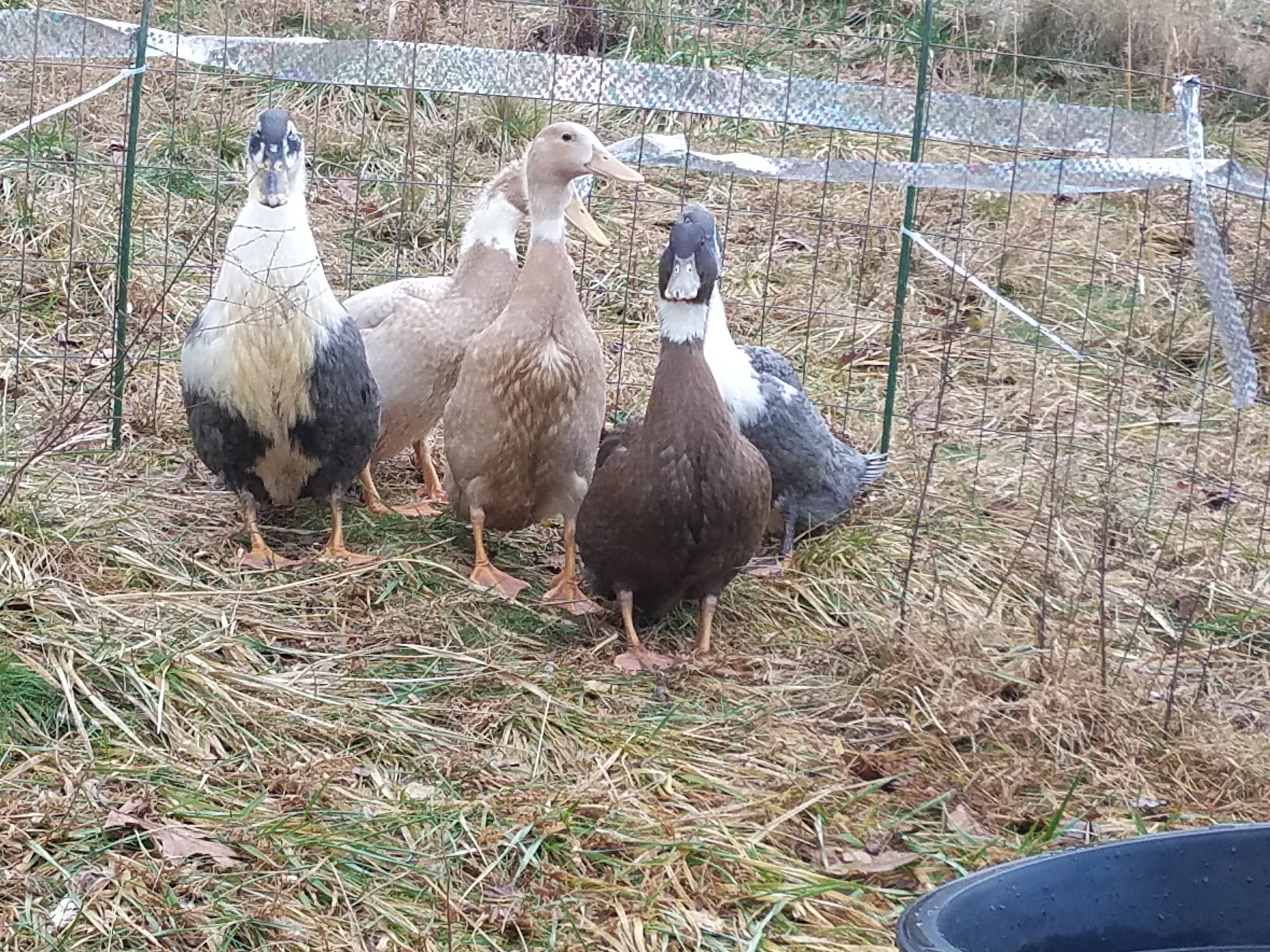 We bite you if you come any closer!