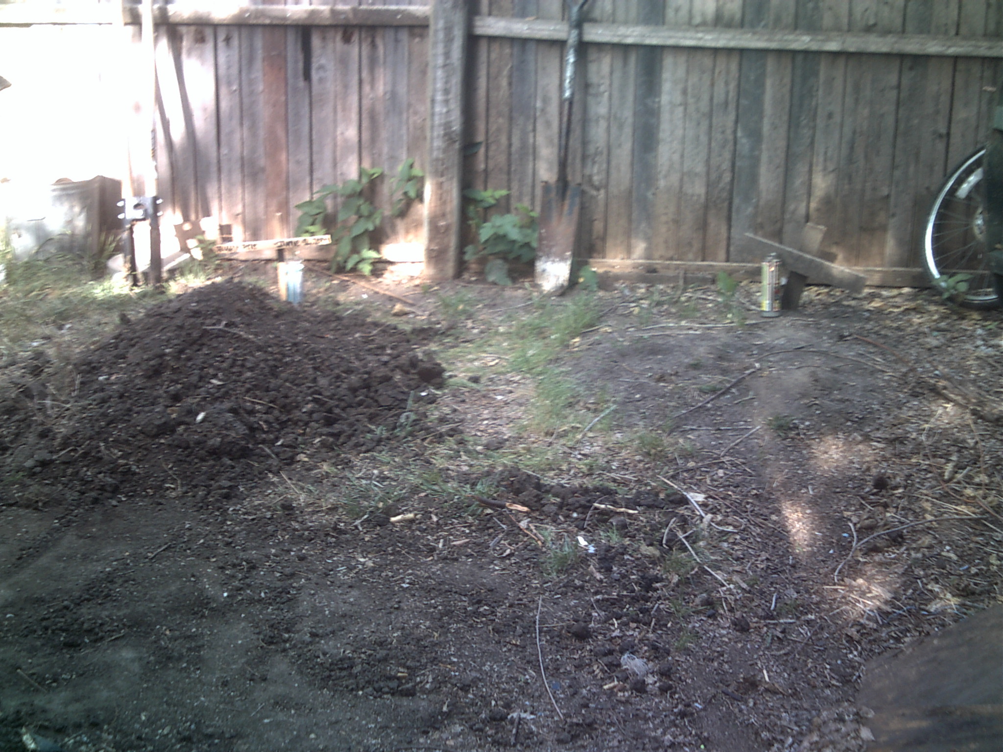 we buried Pete next to his old yard mate sally who died of complications with mange
