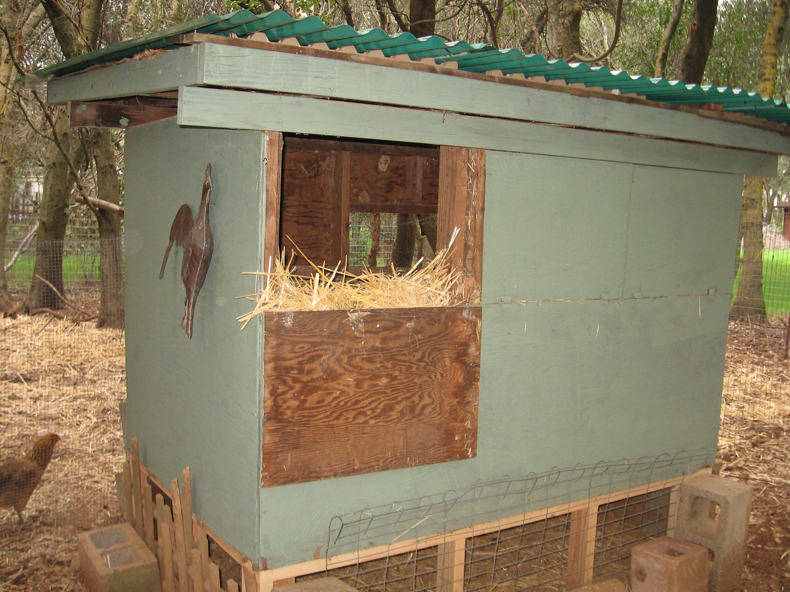 We cut doors in the back of the nesting area to access eggs without having to go inside the pen.  The house is 6x4, we lifted it off the ground about 18 inches to make it easier to rake out from the inside.  The house was orginally made as a hog house, we recycled it when we relpaced hogs with clucks.