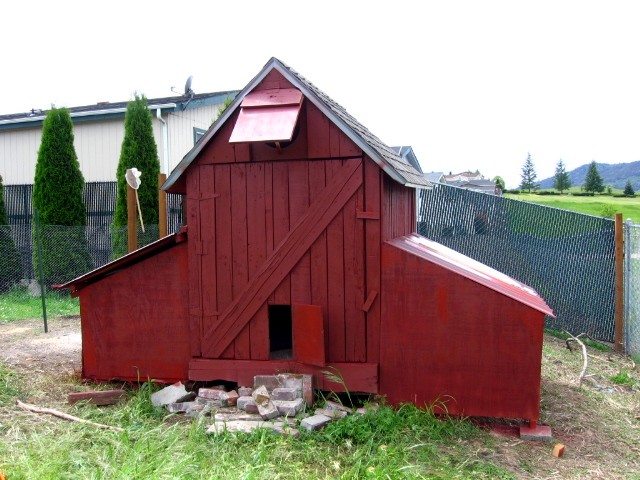 We finished our coop, now it looks like the antique barn on my Taylor Grandparents grain farm North of Eugene, Oregon off River Road, Where I was raised.