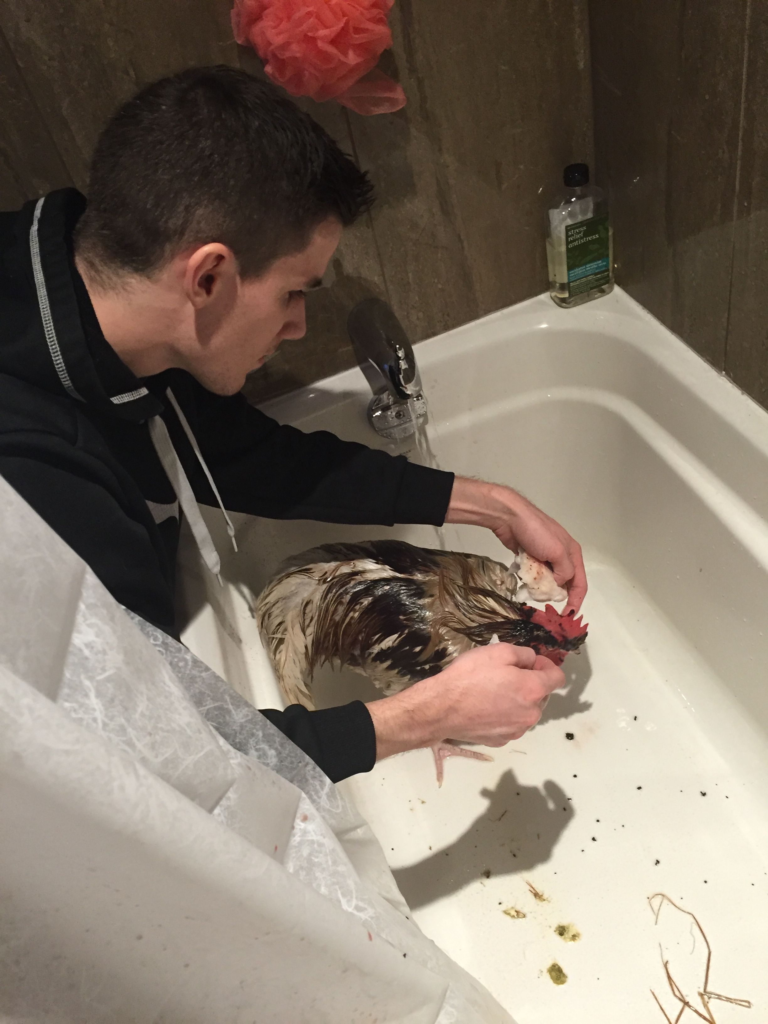 We found White Guy covered in congealed blood and unable to see. We took him inside for a bath as it was snowy outside.