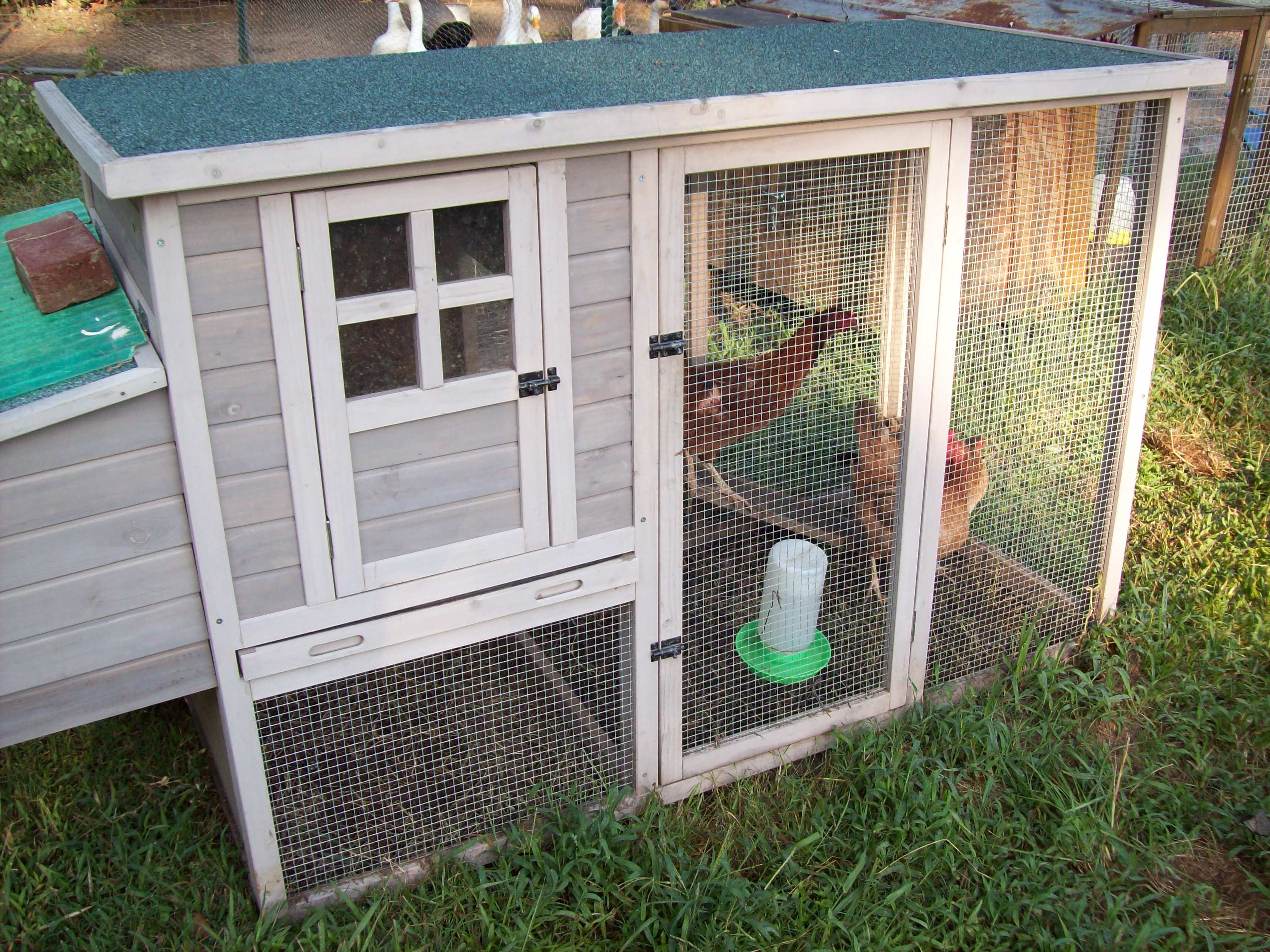We got this coop from Atwoods and we love it. We move it around the yard. Right now we got 3 hens in it.